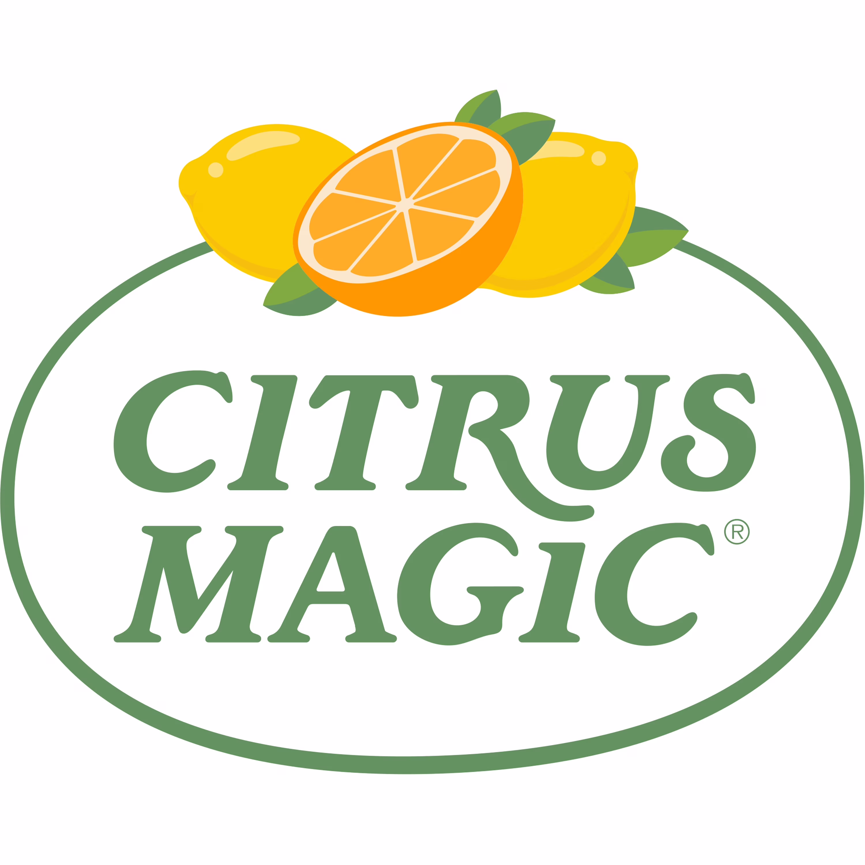 (2 pack) Citrus Magic Pet One-Step Disinfectant Cleaner, 22 Fluid Ounce