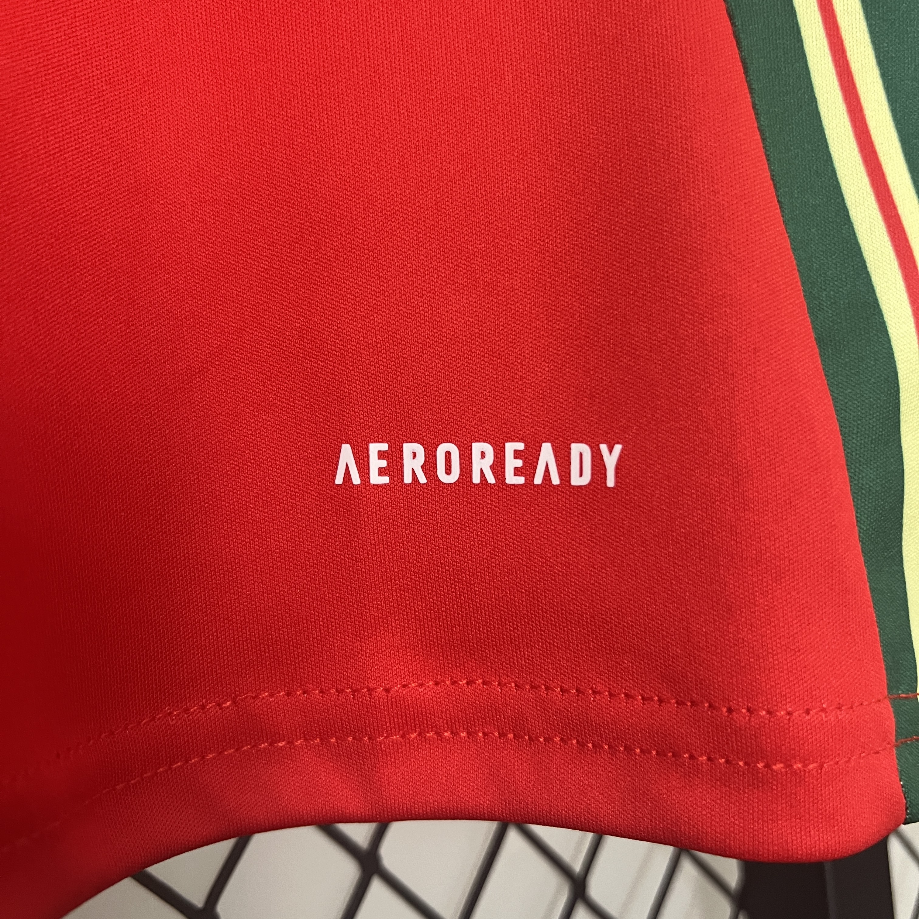 2024/25 Wales home fan version jersey 1:1 Thai quality - Fans Edition