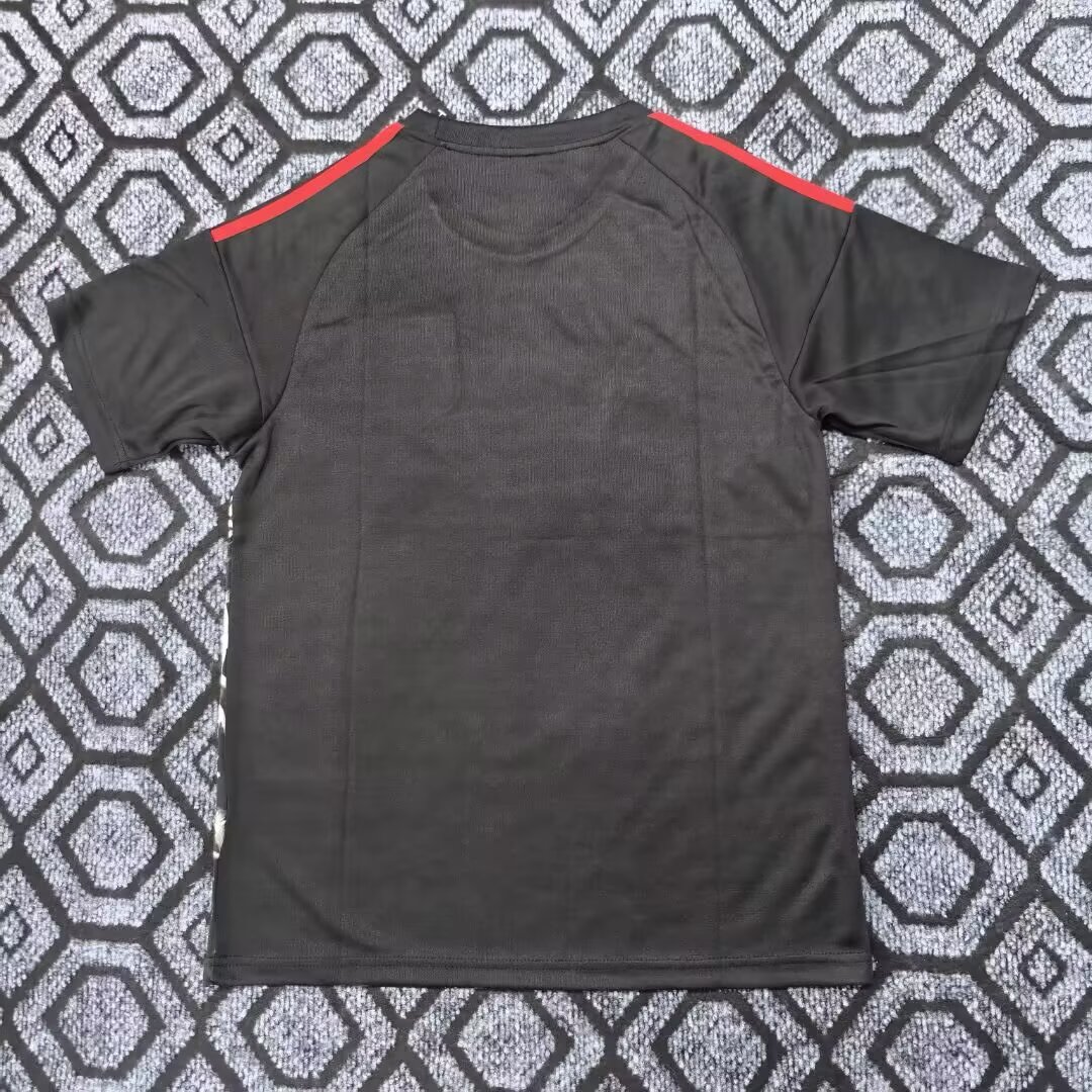 25-26 Japan Super Vegeta Black and Red Jersey - Fan Edition