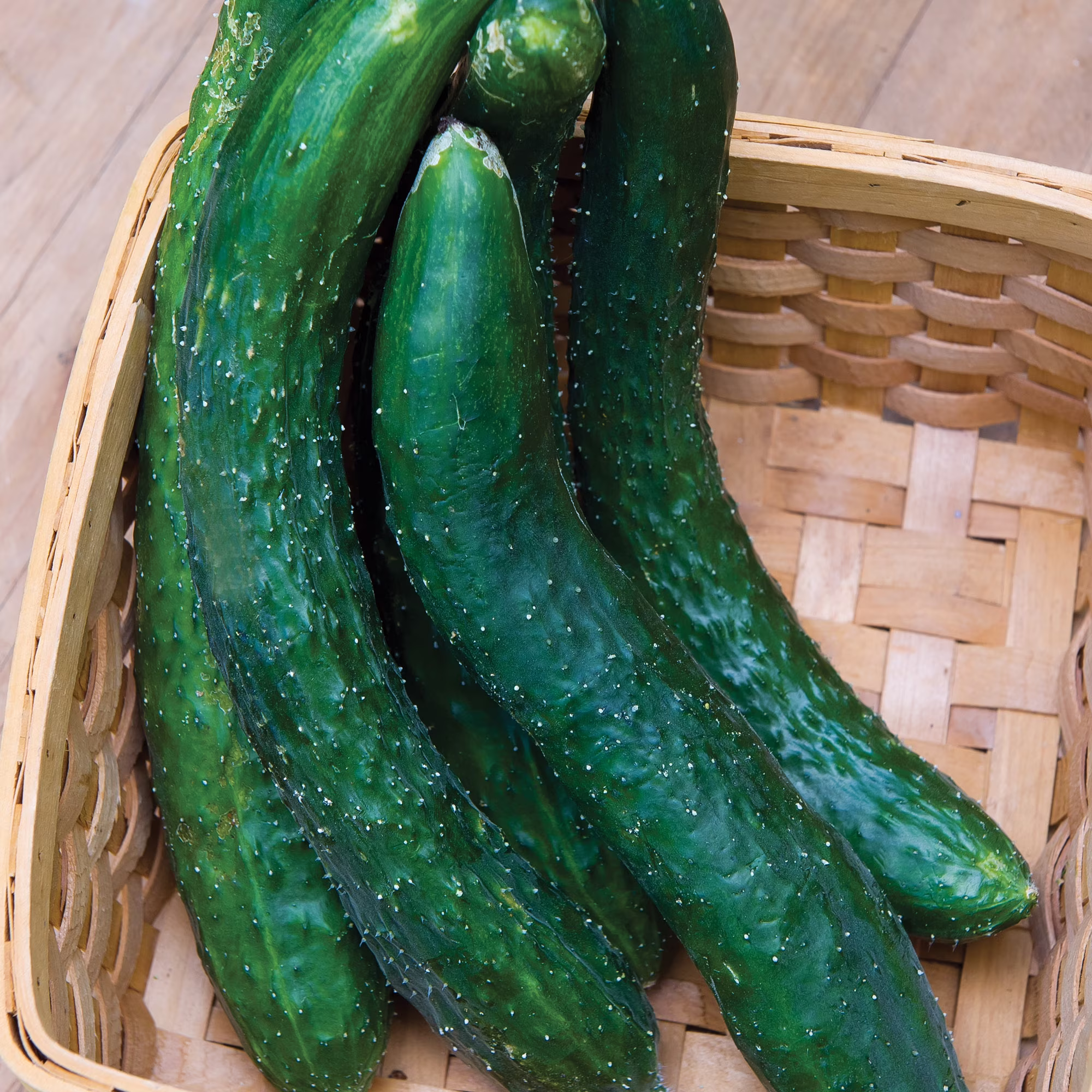 Burpee Greencrisp Hybrid Cucumber Vegetable Seed, 1-Pack