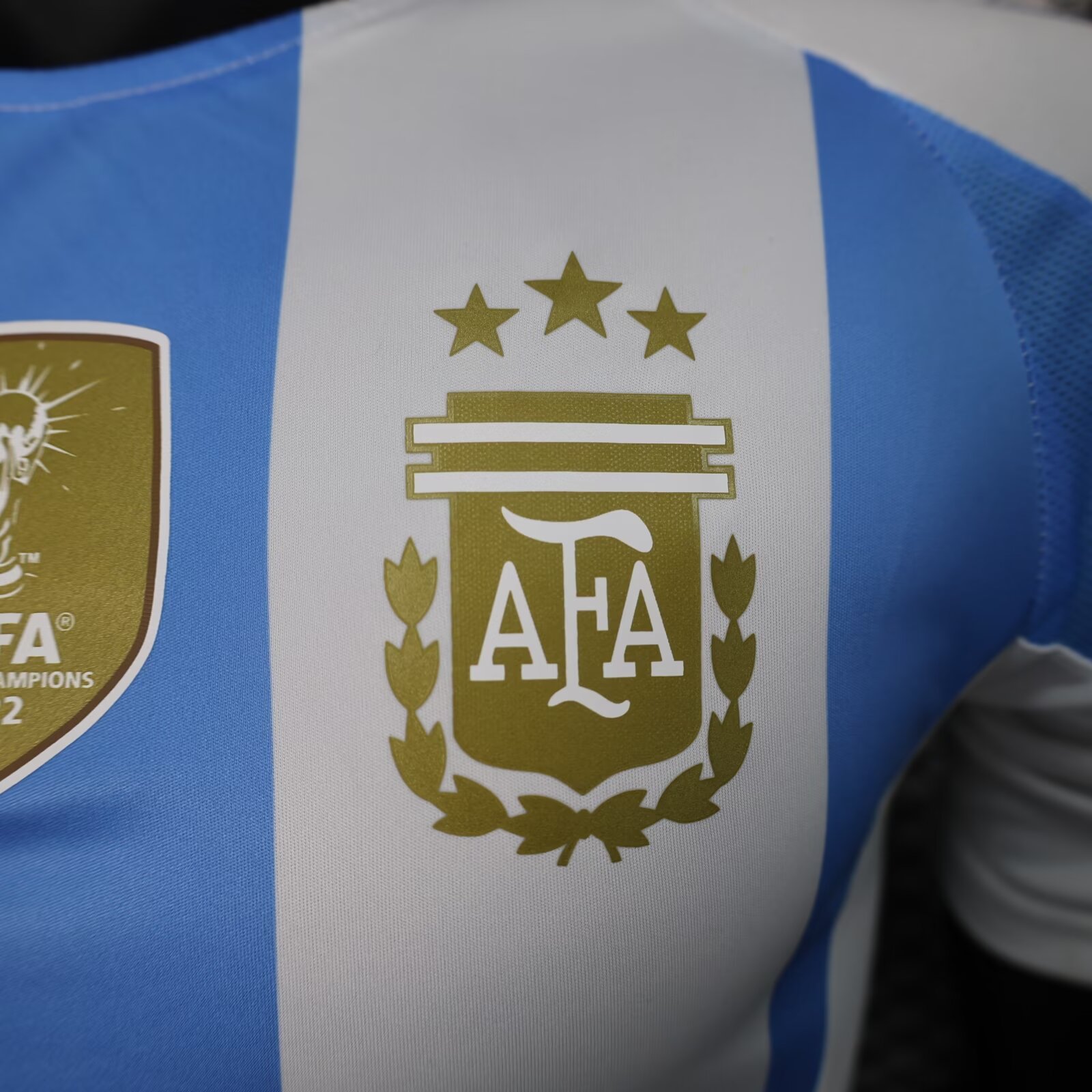 2024/25 Argentina Home Shirt - Player Version