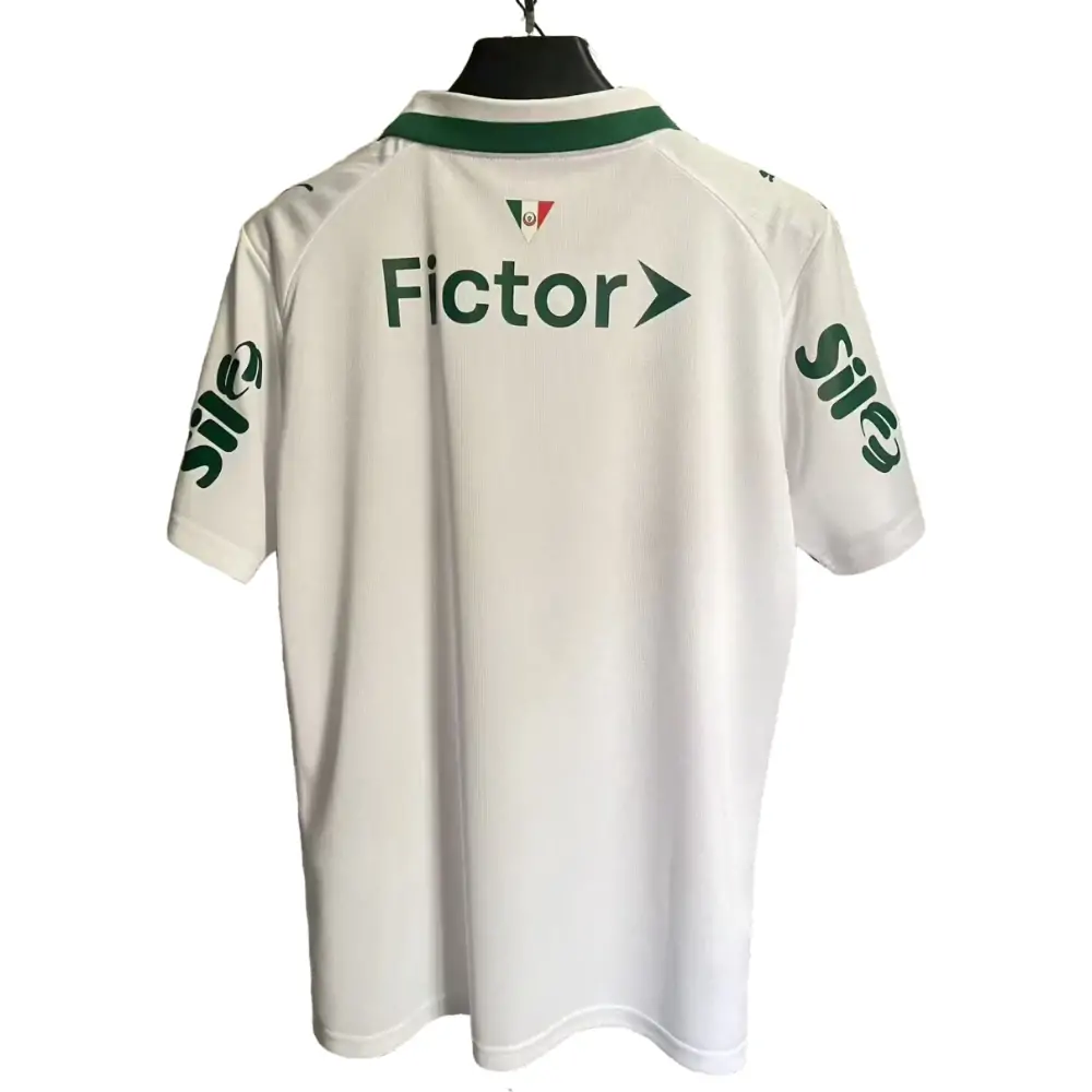 2026-27 Palmeiras Away Advertisement Edition Jersey - Fans Edition