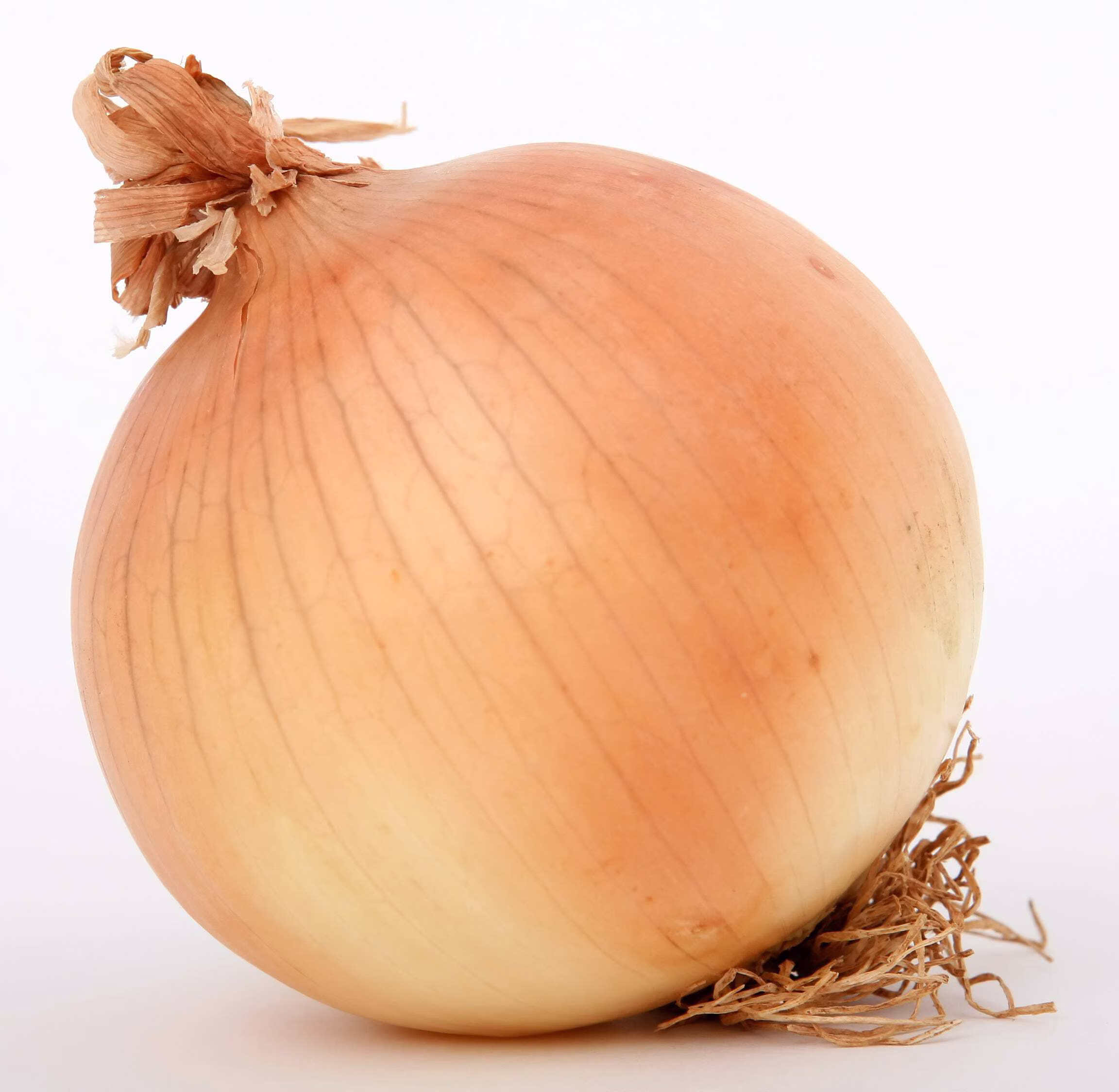 250 *Seeds SWEET WALLA WALLA ONION Allium Cepa Vegetable Seeds