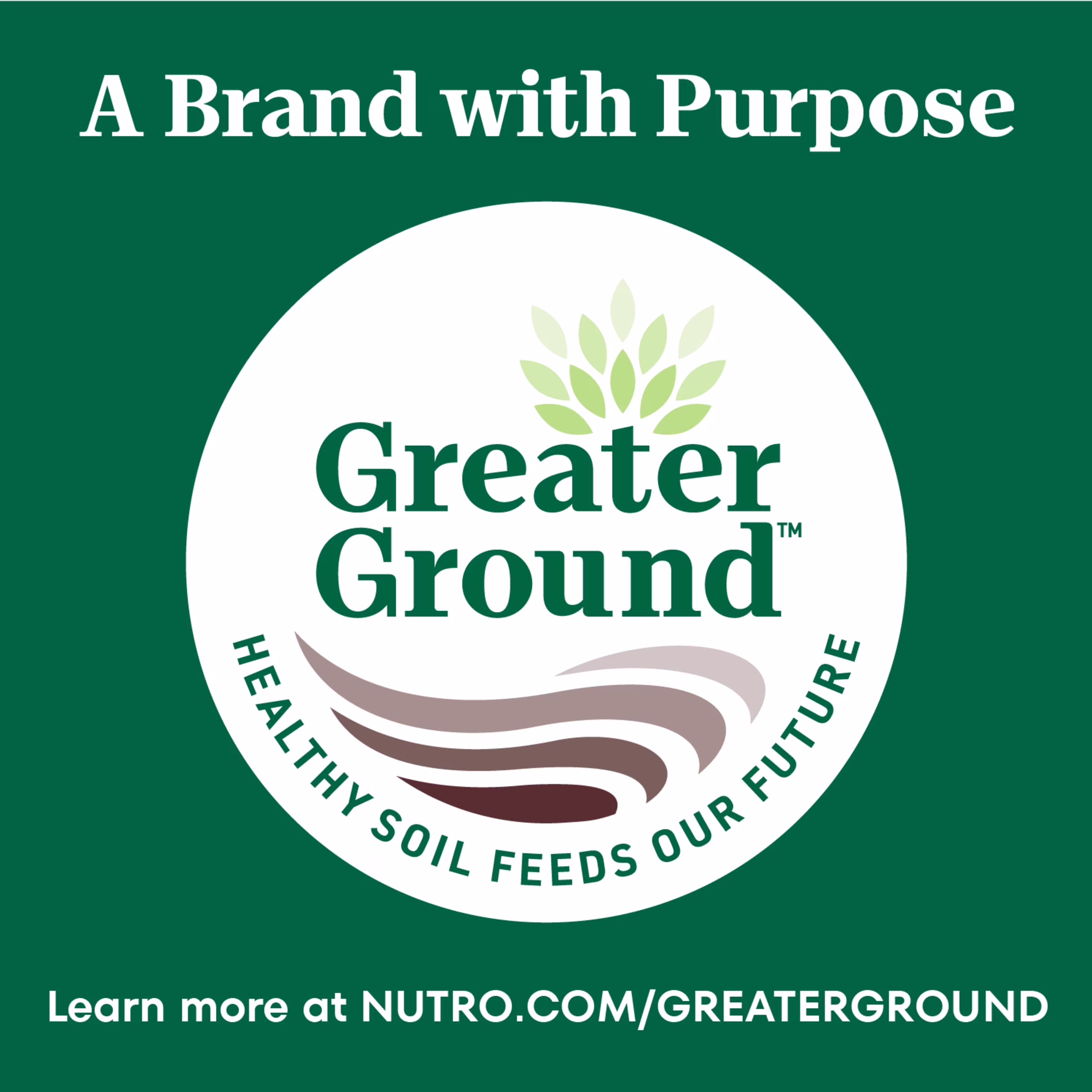 Nutro So Simple Chicken Recipe In Bone Broth Wet Dog Meal Complement, 2 Oz Tray