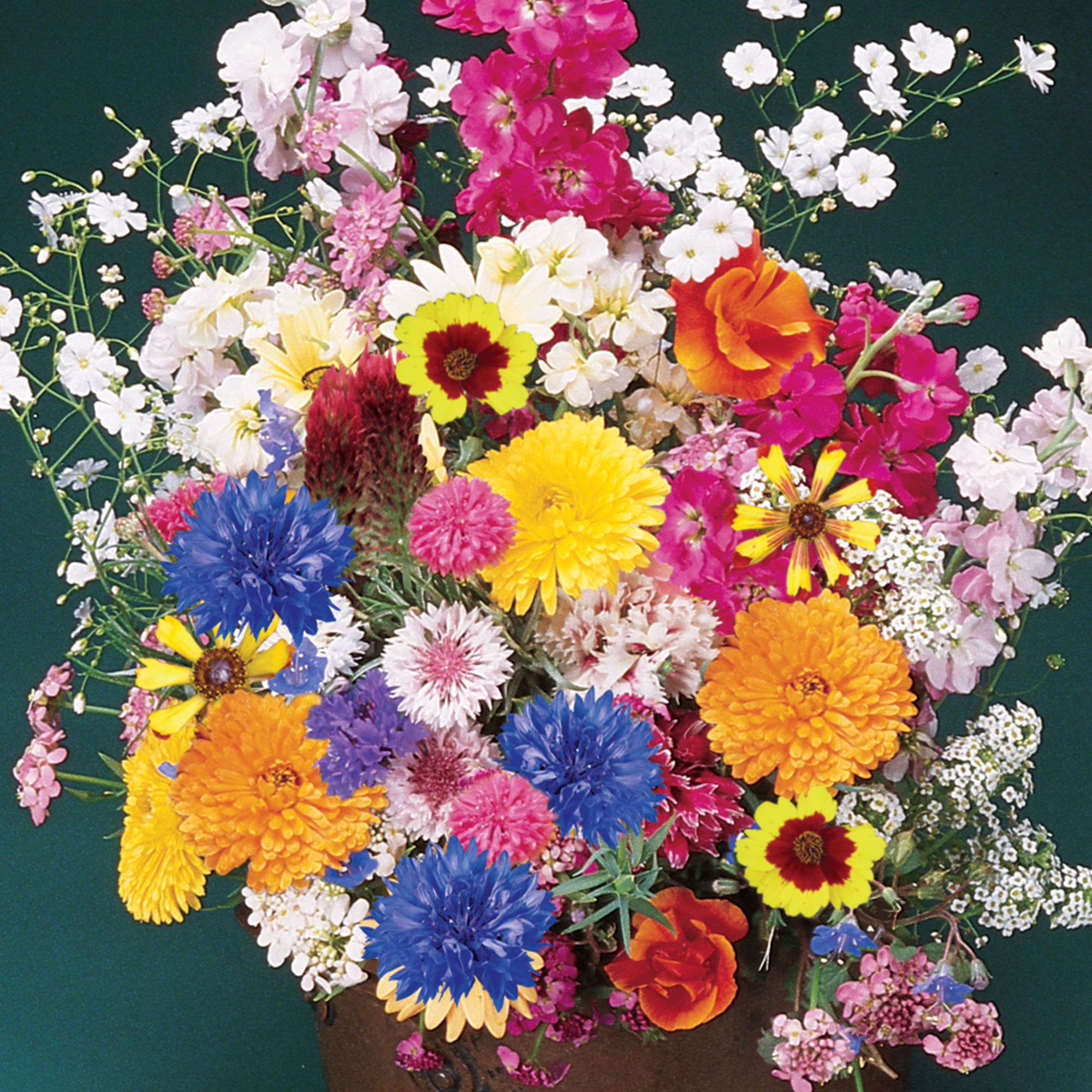 Burpee Sun & Shade Mix Mixed Flower Seed, 1-Pack