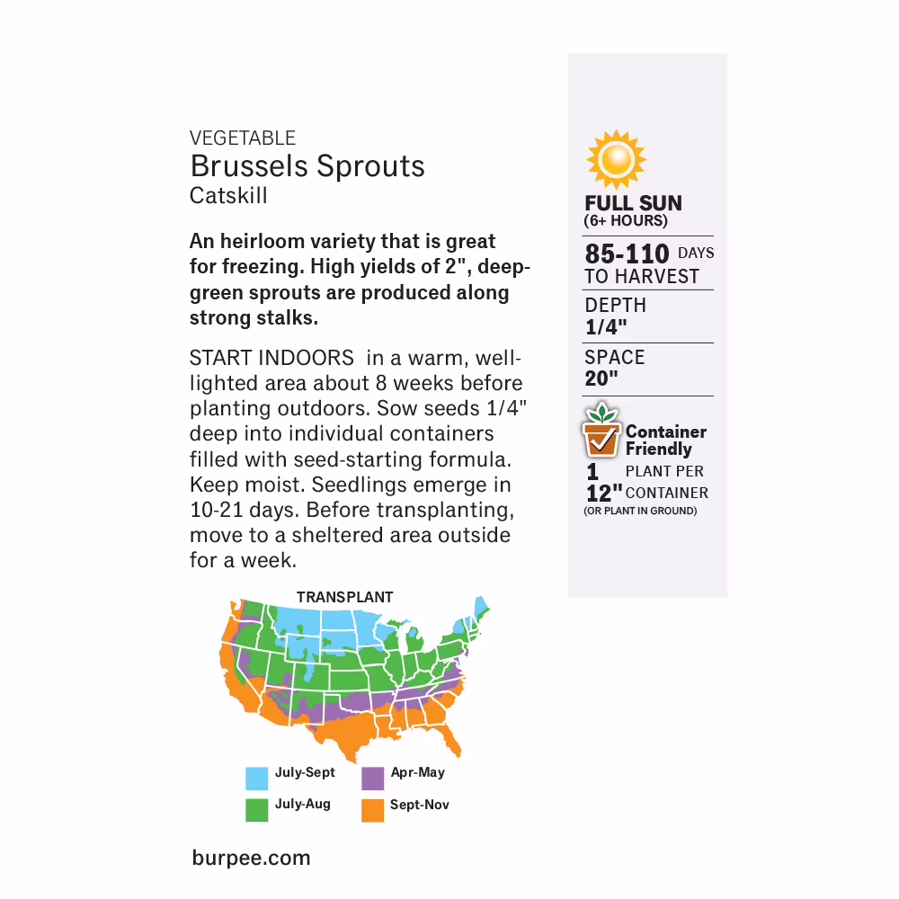 Burpee Catskill Brussels Sprouts Seeds - Heirloom Vegetable Gardening Seeds, 1-Pack