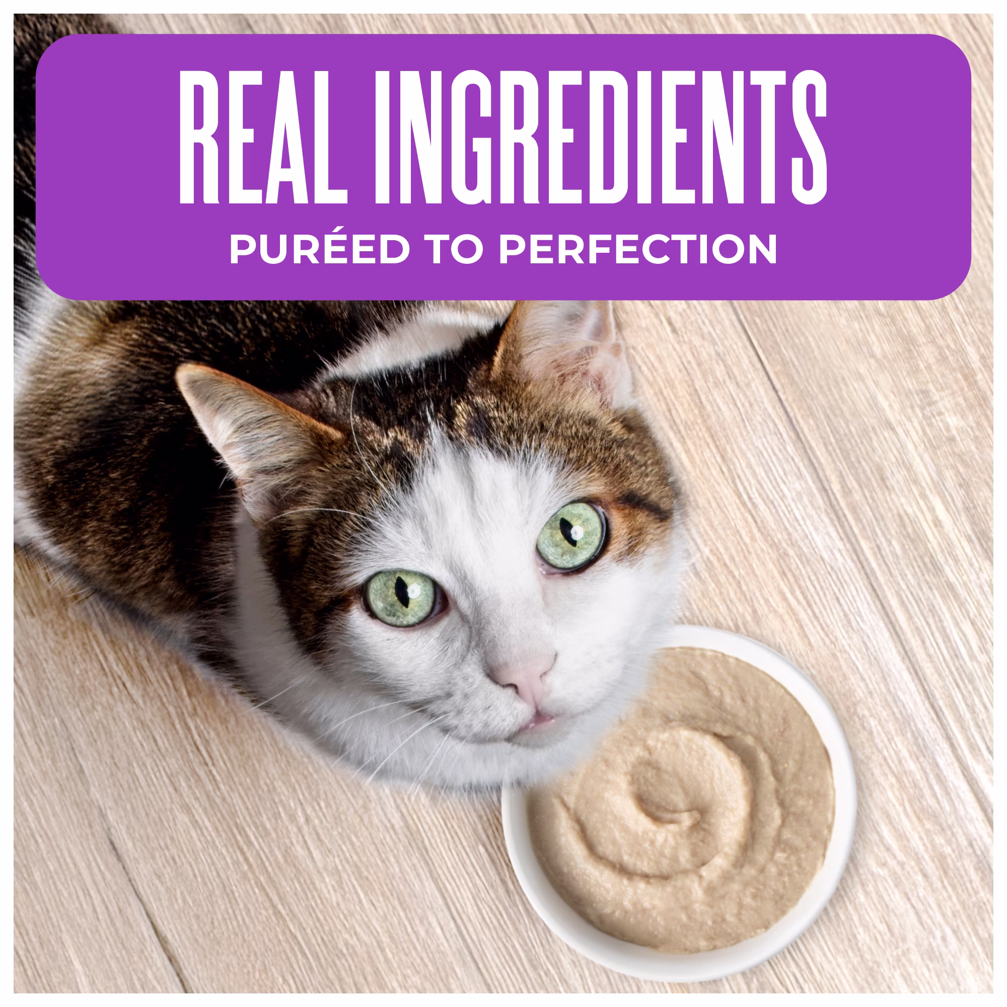 Tiki Cat Born Carnivore Wet Cat Food, Mousse, Chicken & Duck Recipe in Broth, 2.4 oz. Pouch