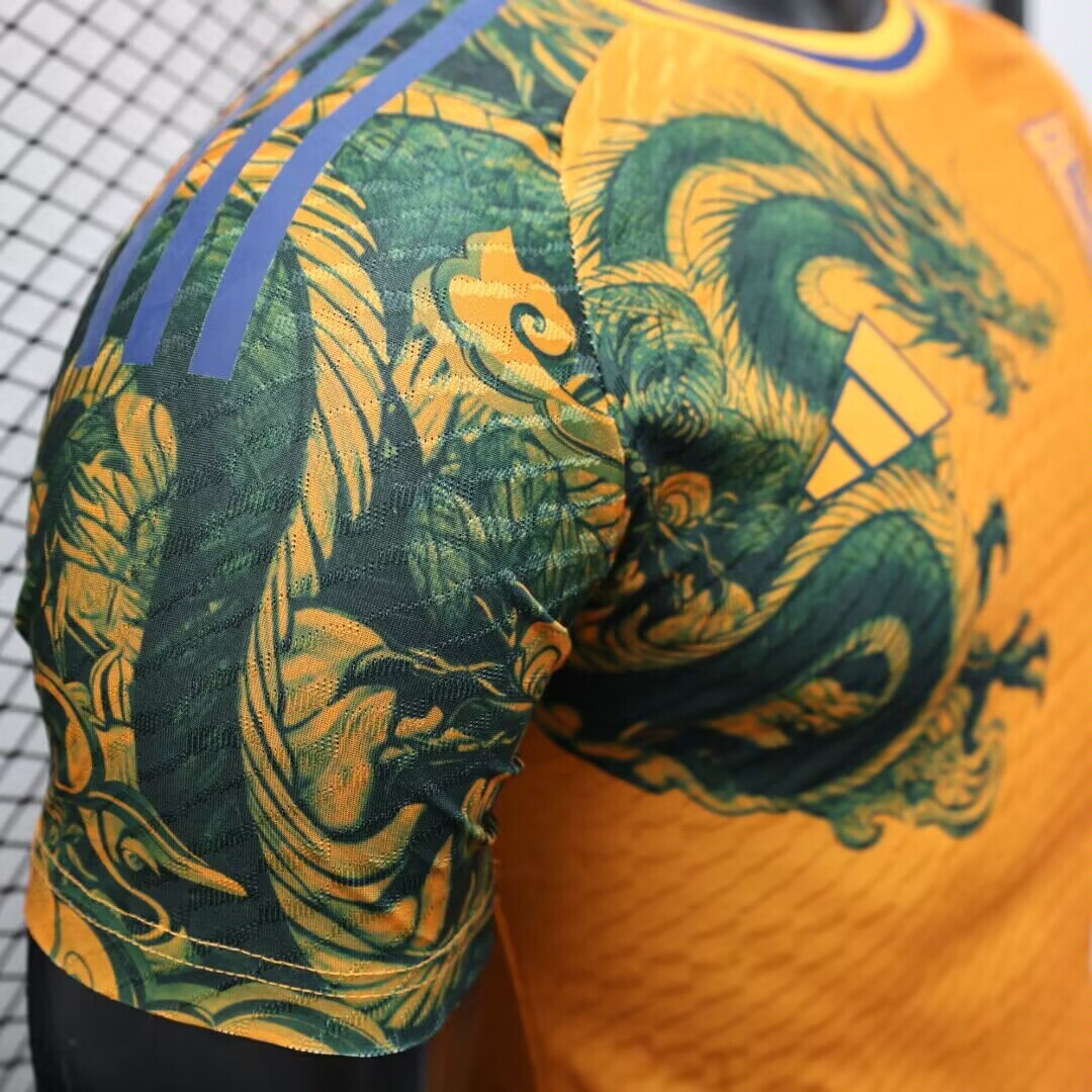 2024/25 Japan Special Edition Shirt - Player Edition