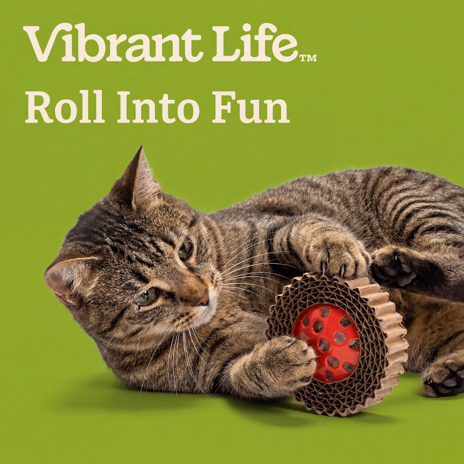 Vibrant Life Cardboard Roller Cat Toy