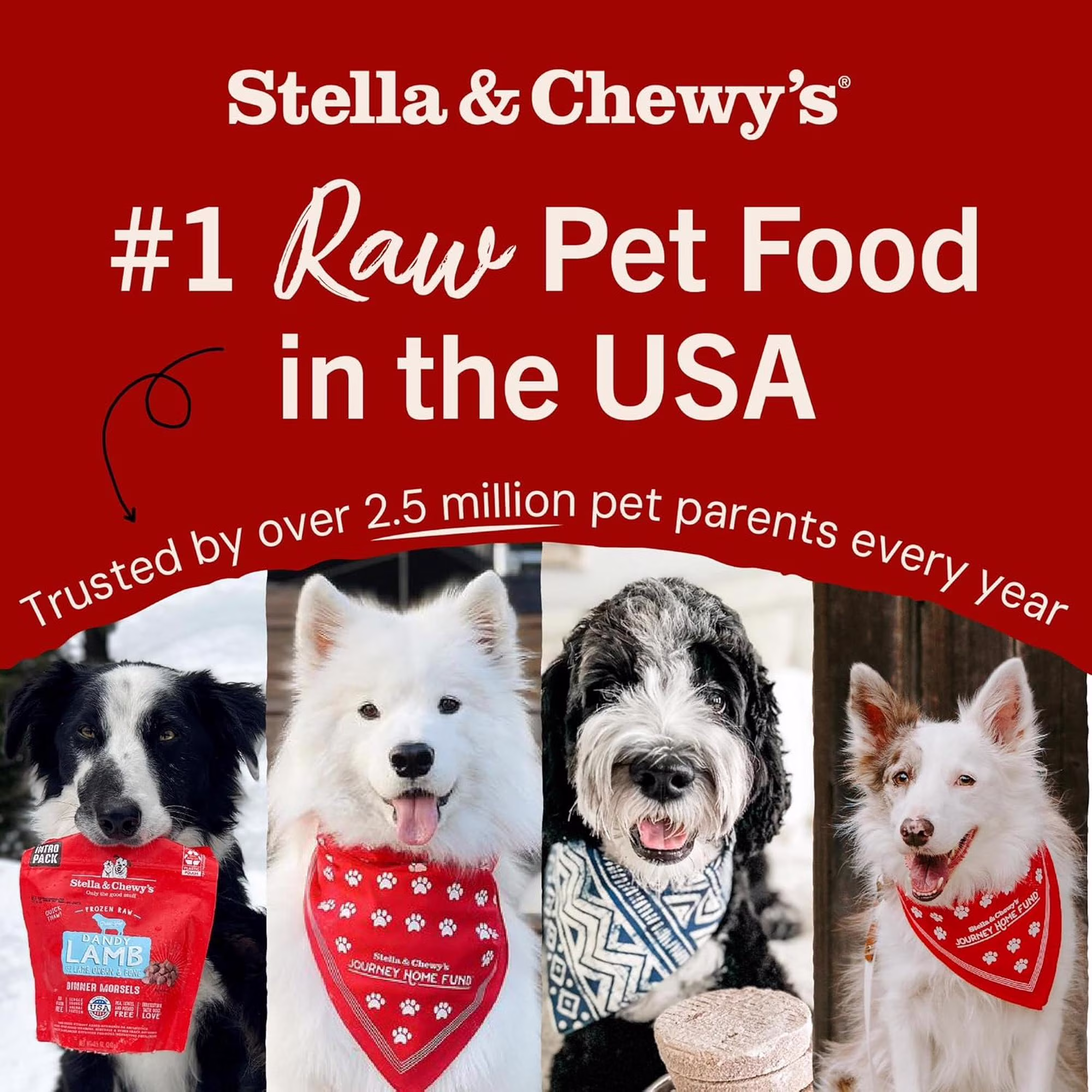 Stella & Chewy's Freeze-Dried Raw Meal Mixers Dog Food Topper - Stella's Super Beef Recipe - 35 Ounce Bag