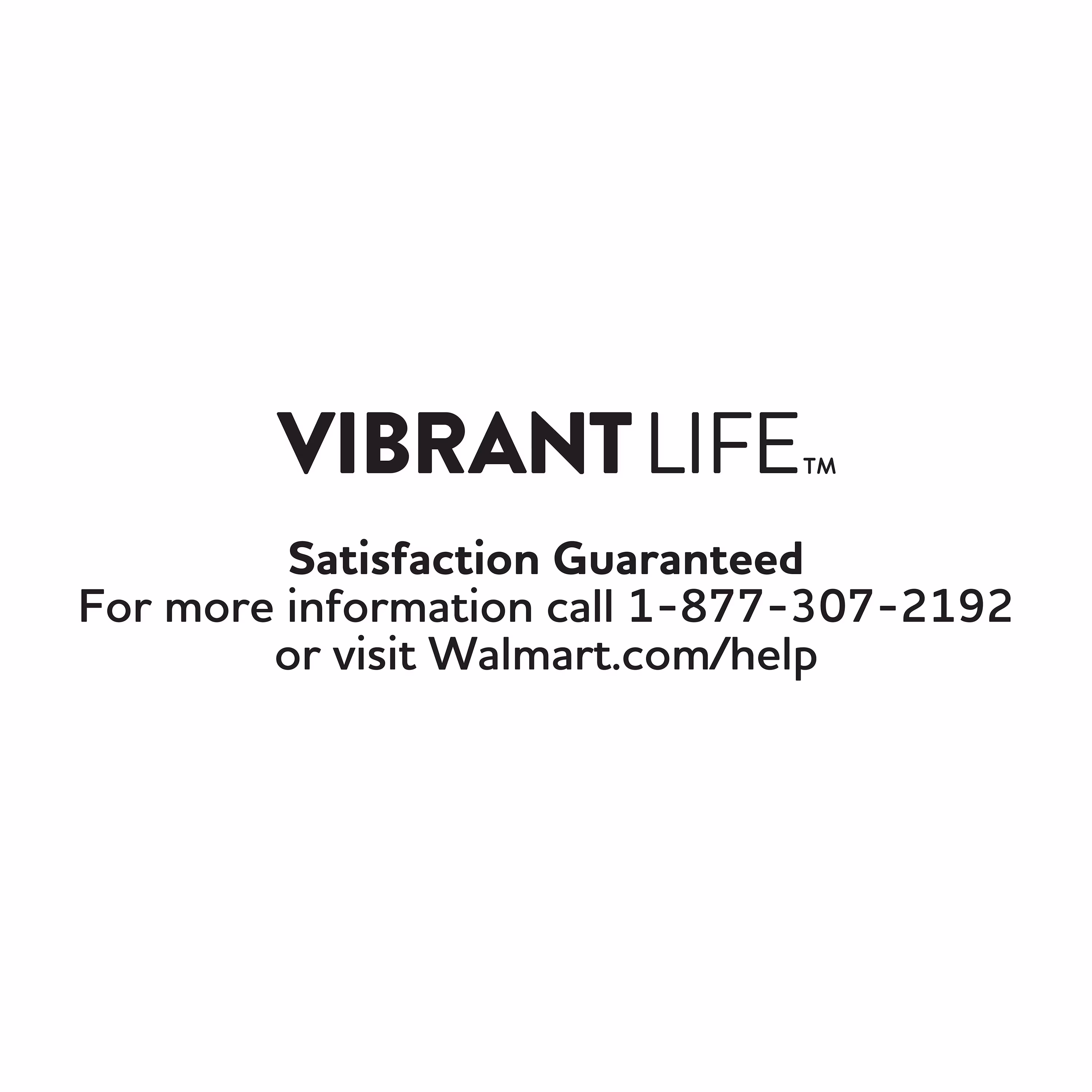 (2 pack) Vibrant Life Large Cat Litter Scoop, Blue, 1 Count