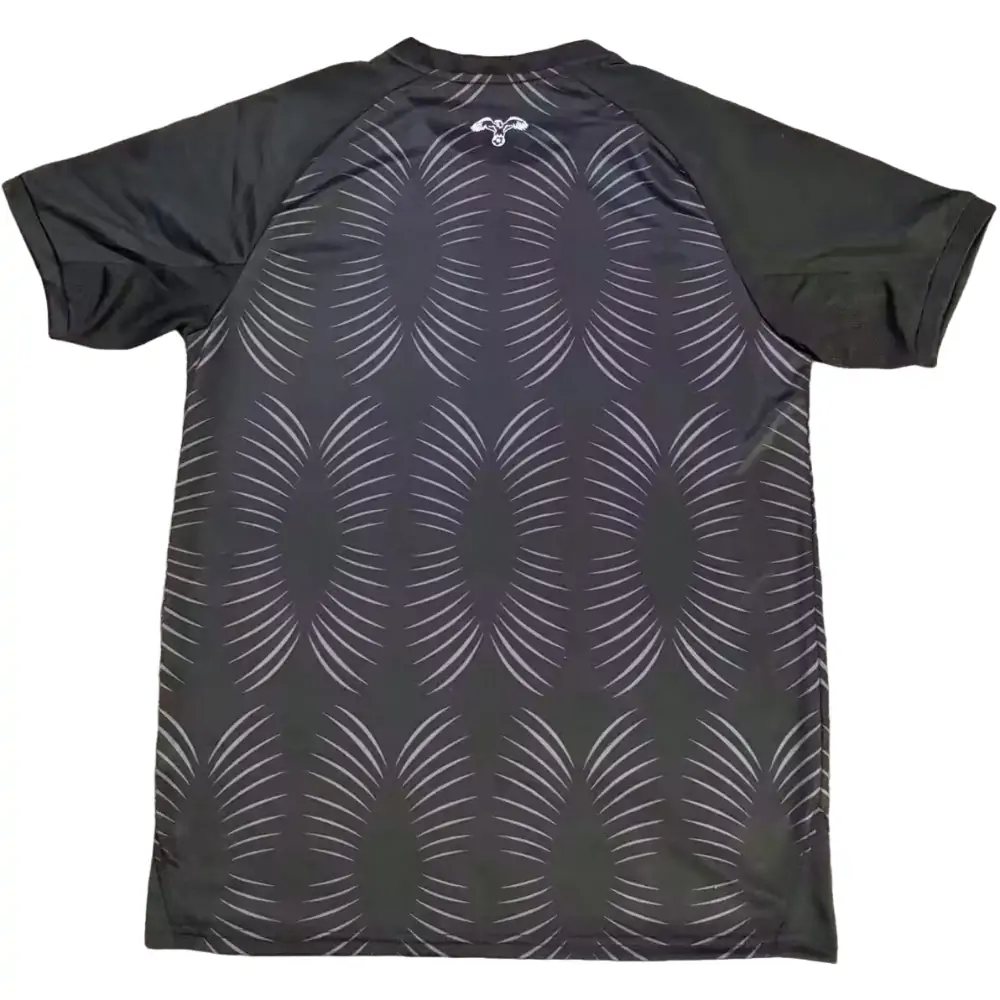 2024-25 Jordan Second Away Jersey - Fans Edition