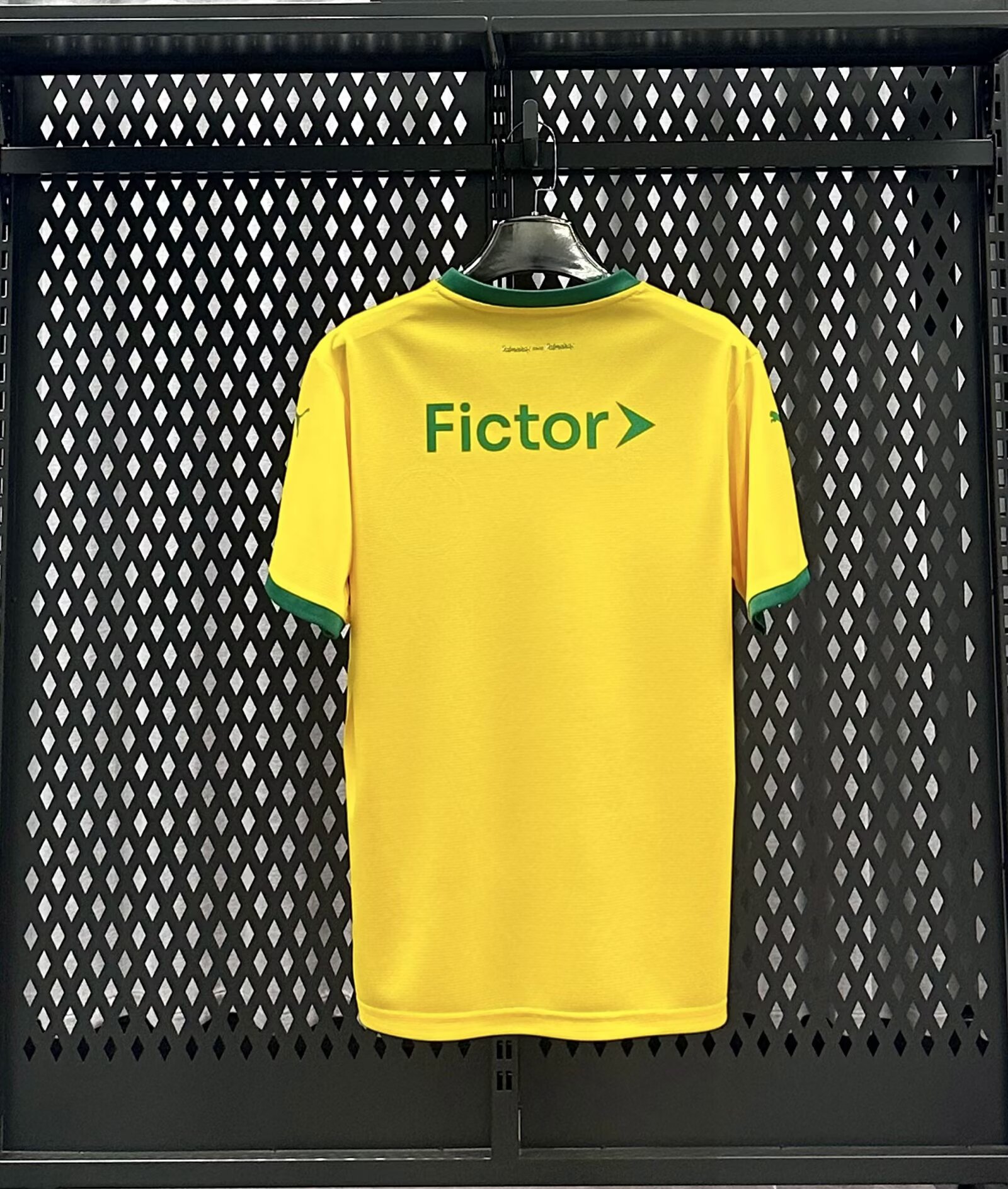 2025-26 Palmeiras Second Away Kit - Short Sleeve Fans Edition