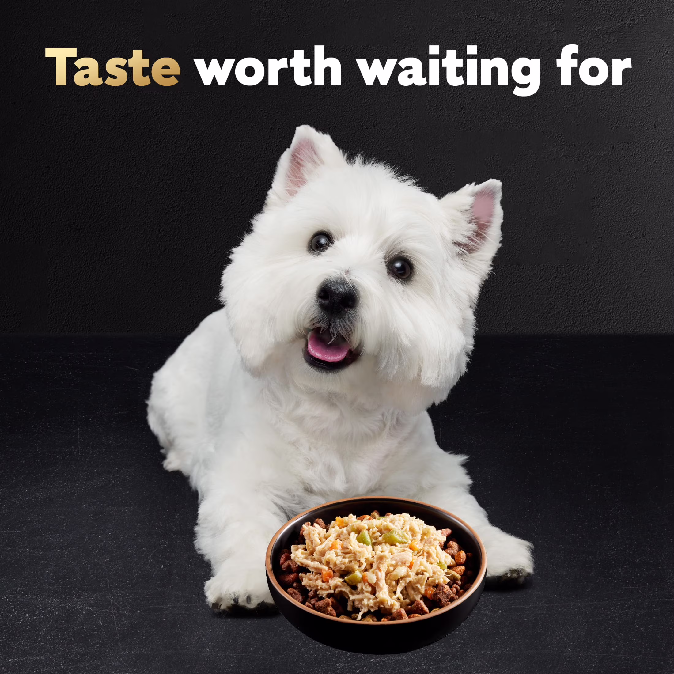 Cesar Wholesome Bowls Chicken, Apple & Sweet Potato Wet Dog Food Adult, 3 Oz