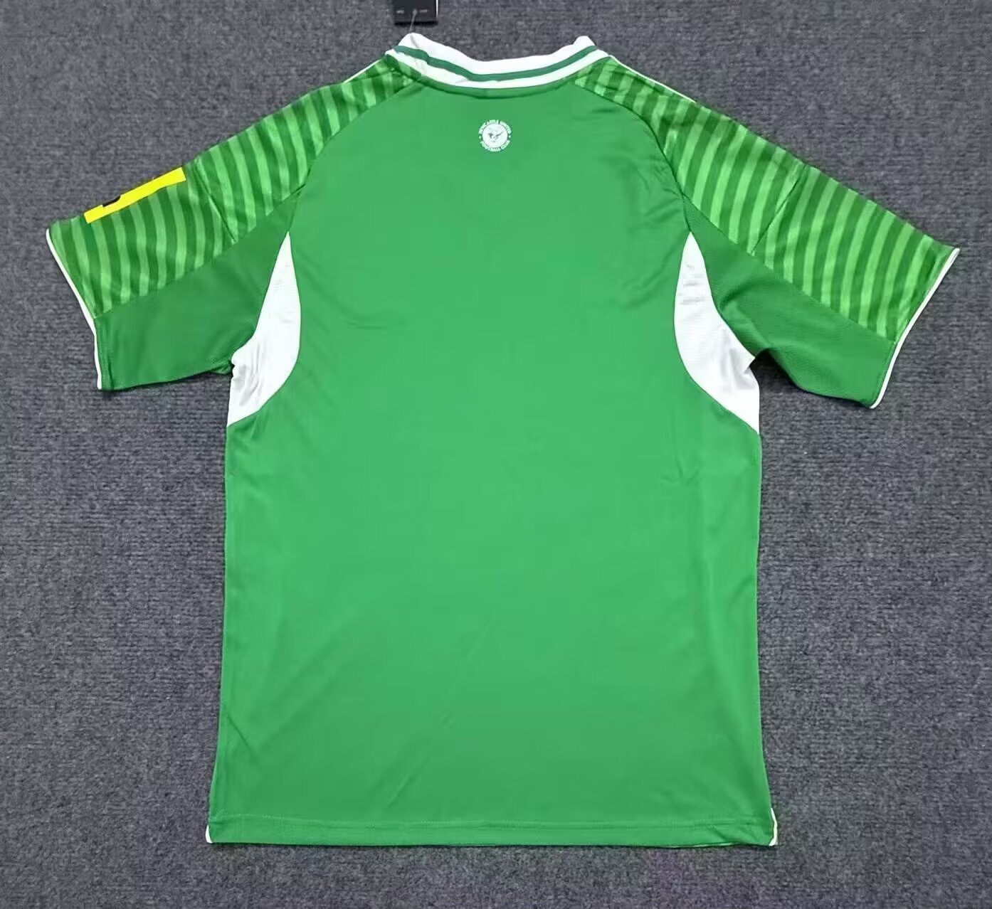 2025-26 Newcastle United Away Green Jersey - Fan Edition