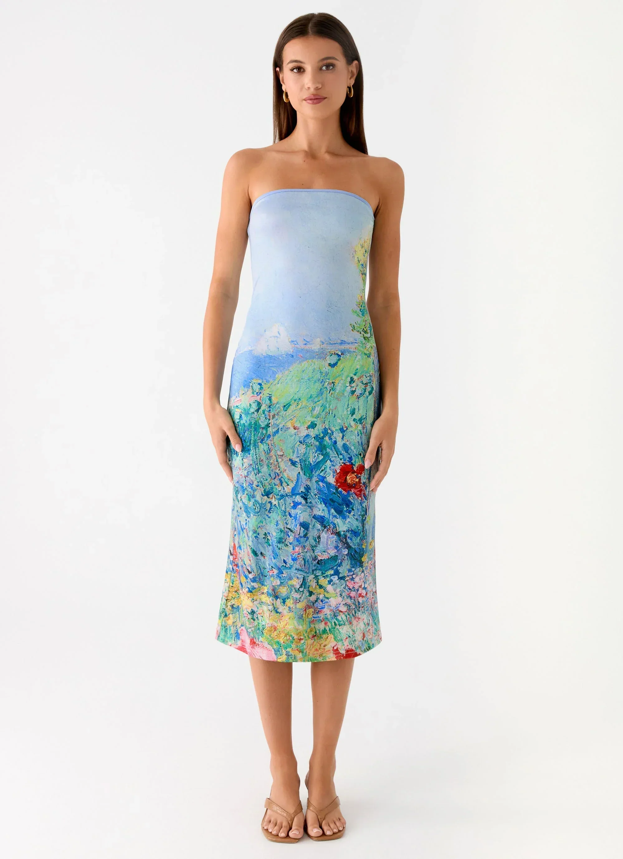 Niko Strapless Midi Dress - Spring Garden