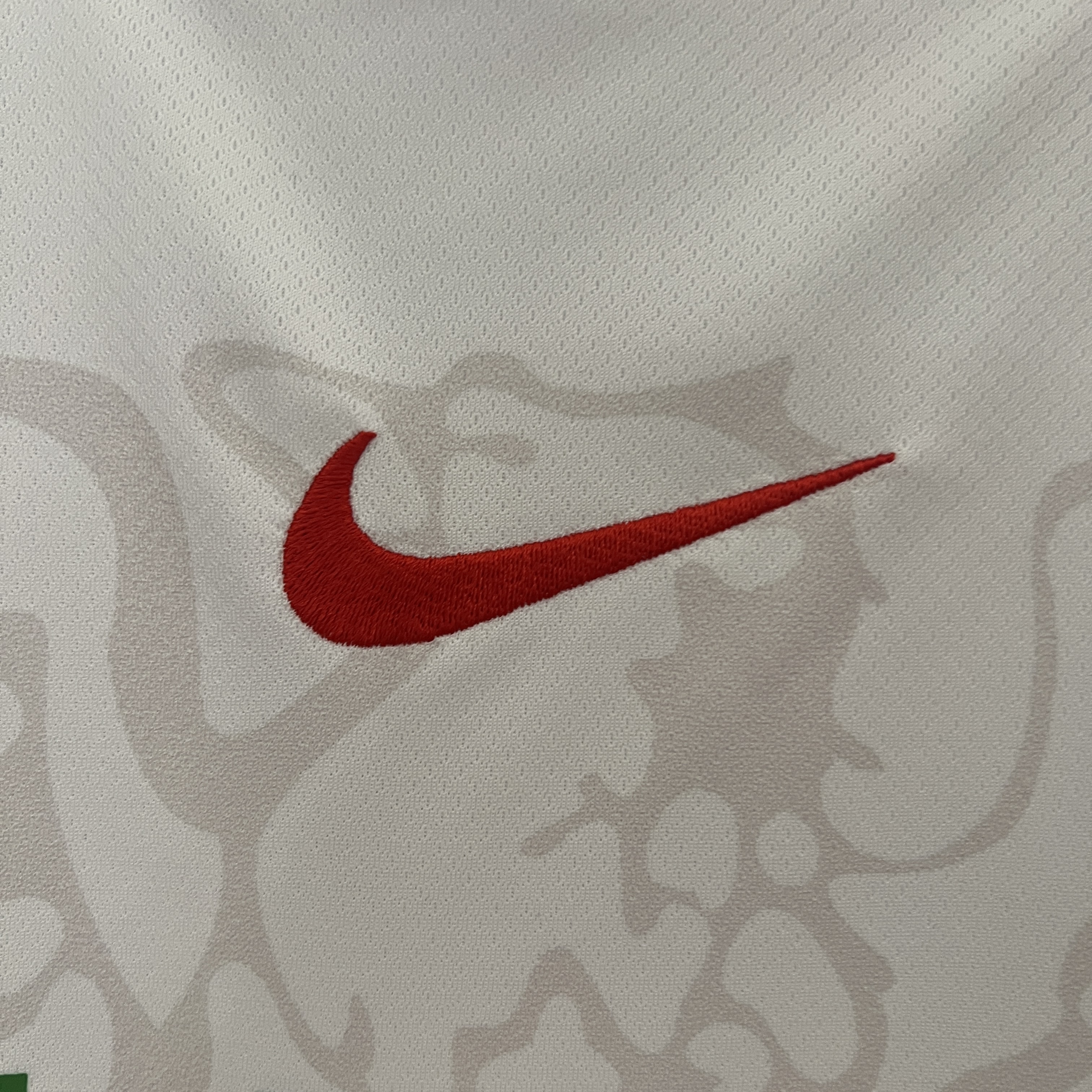 2024/25 Nigeria home fan edition jersey - fans edition