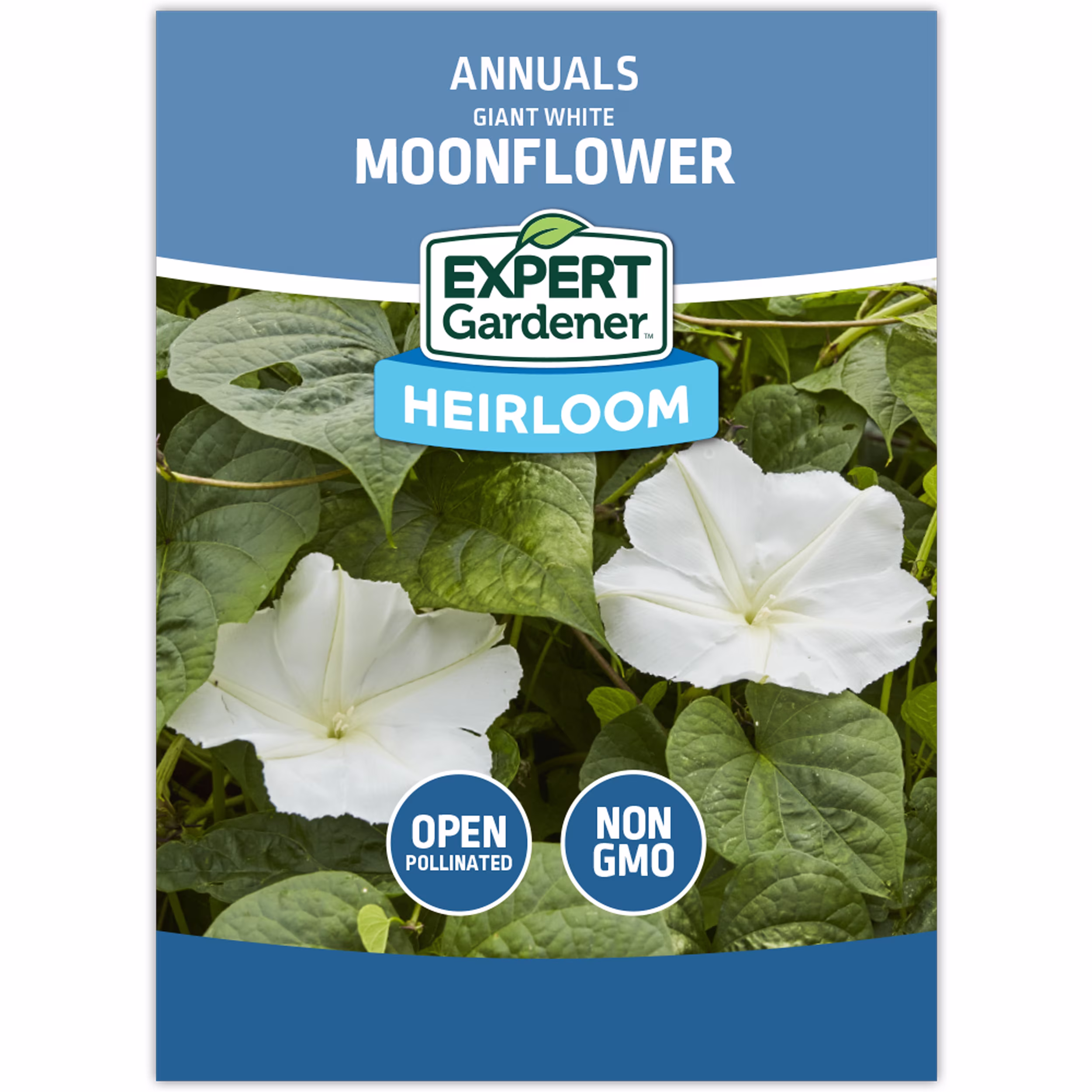 Expert Gardener Giant White Moonflower Flower