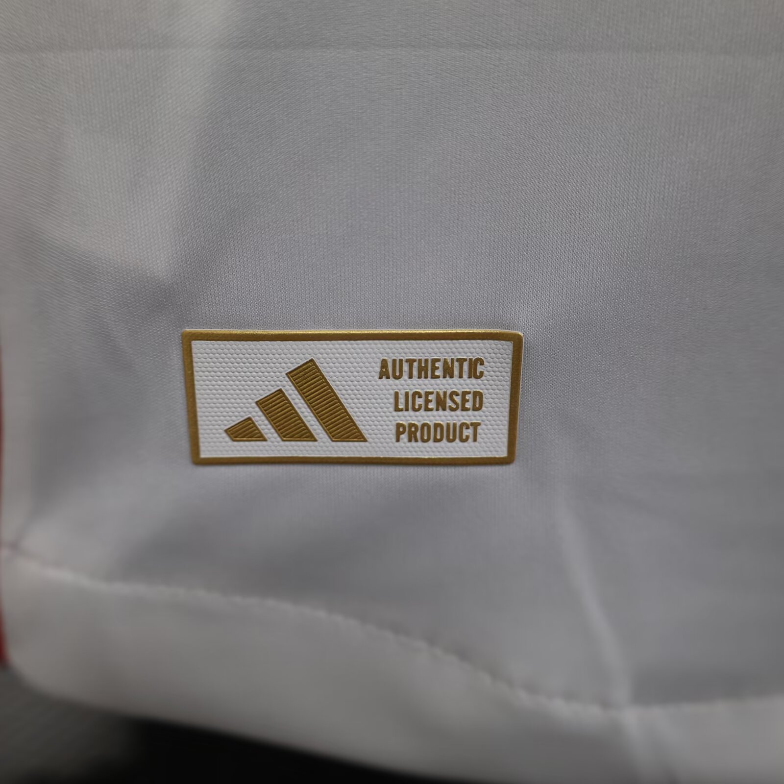 2024/25 Lyon Home Player Jersey 1:1 Thai Quality