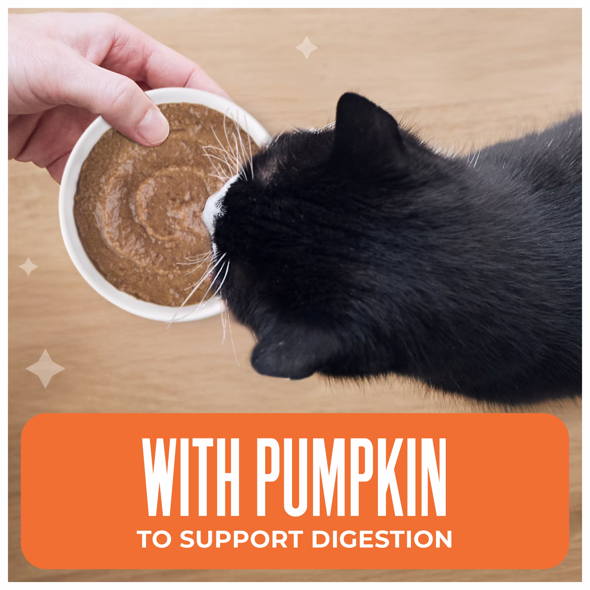 Tiki Cat Friends Mousse Tuna & Pumpkin, 2.8 oz. Pouch