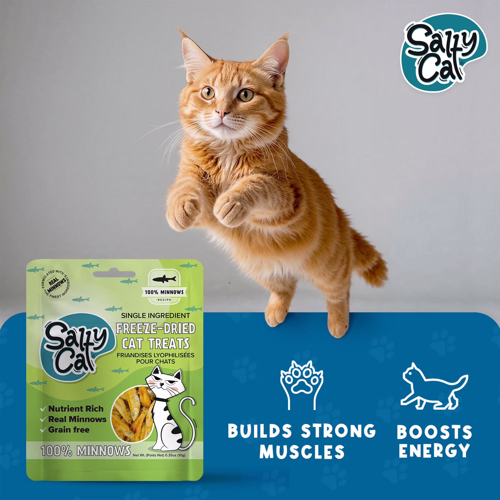 Salty Cat 100% Minnows Freeze-Dried Cat Treats, 10g Pouch
