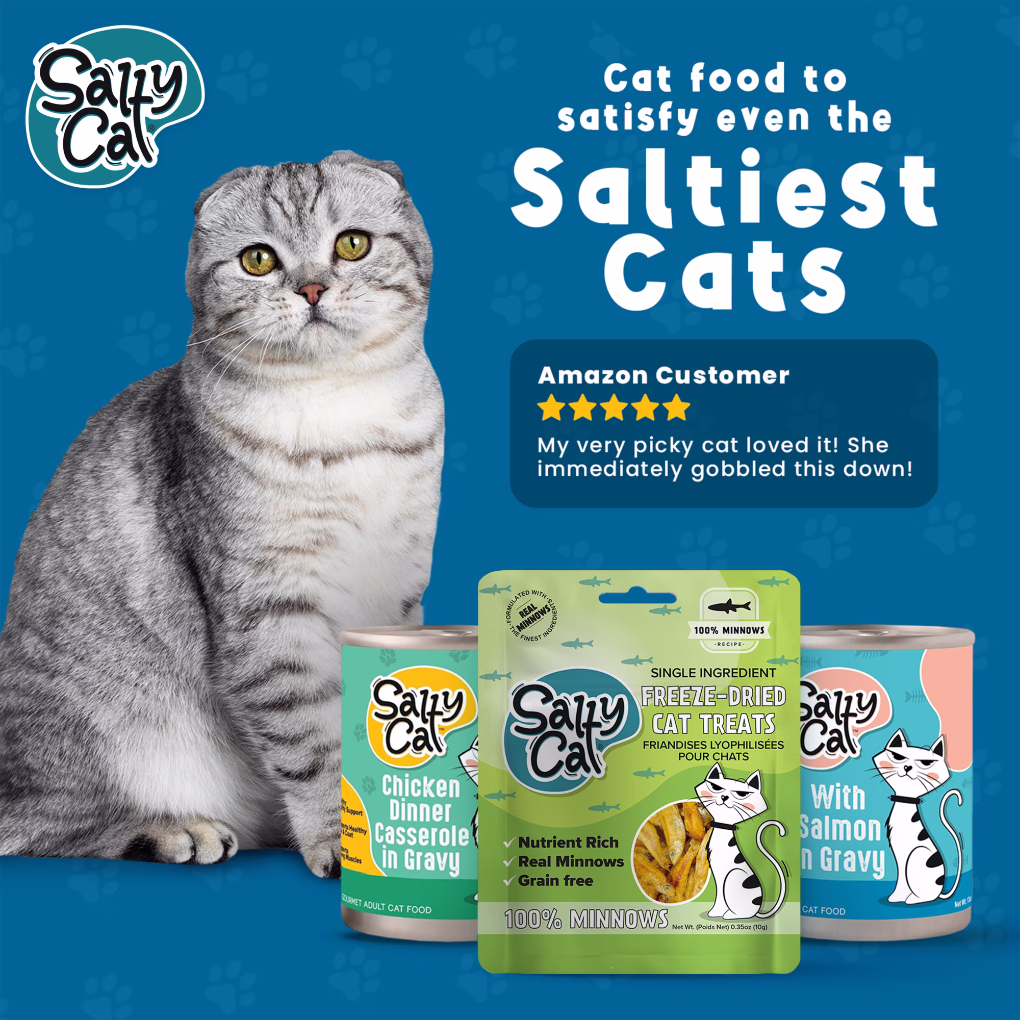 Salty Cat 100% Minnows Freeze-Dried Cat Treats, 10g Pouch