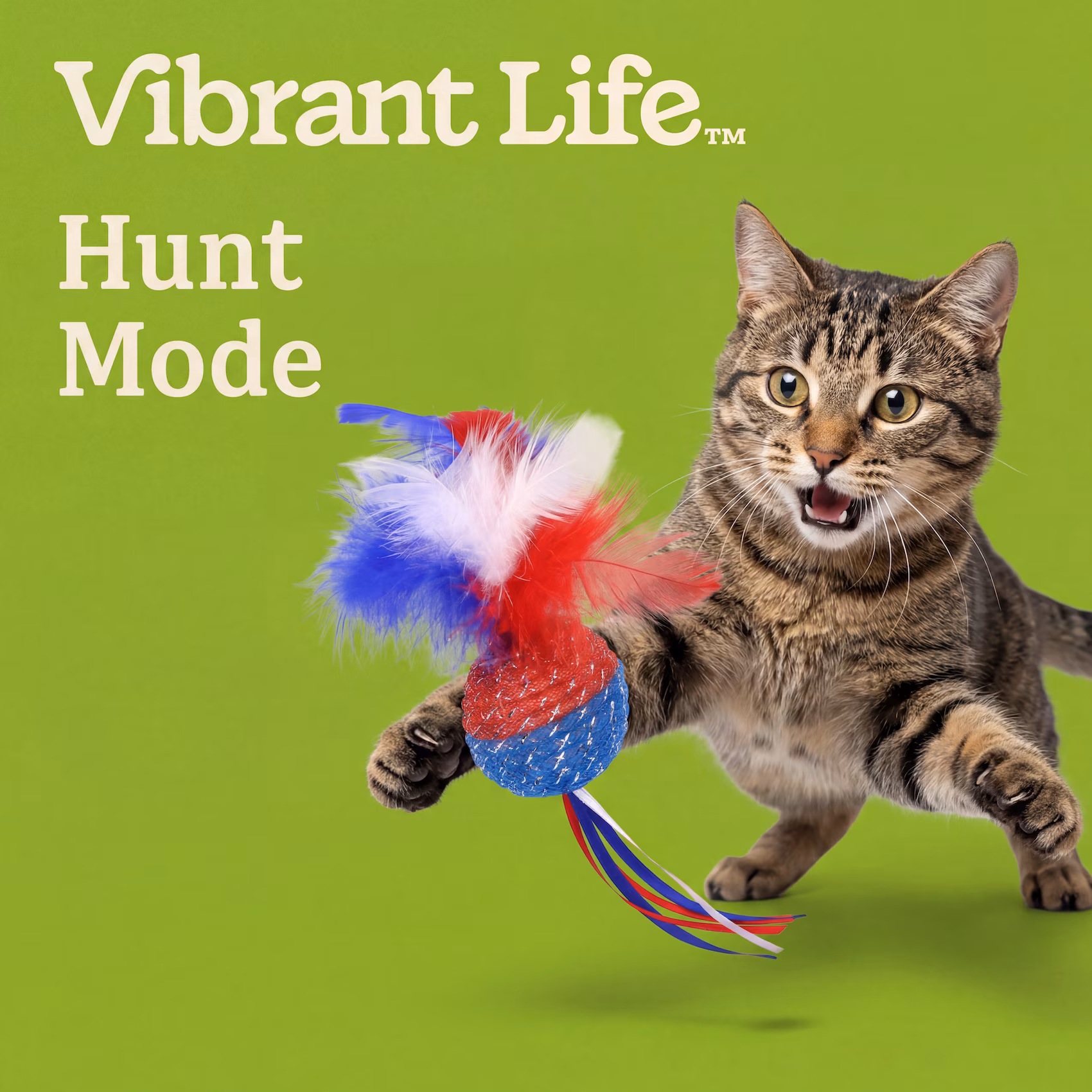 Vibrant Life Red/White/Blue Mesh Ball with Feathers Cat Toy