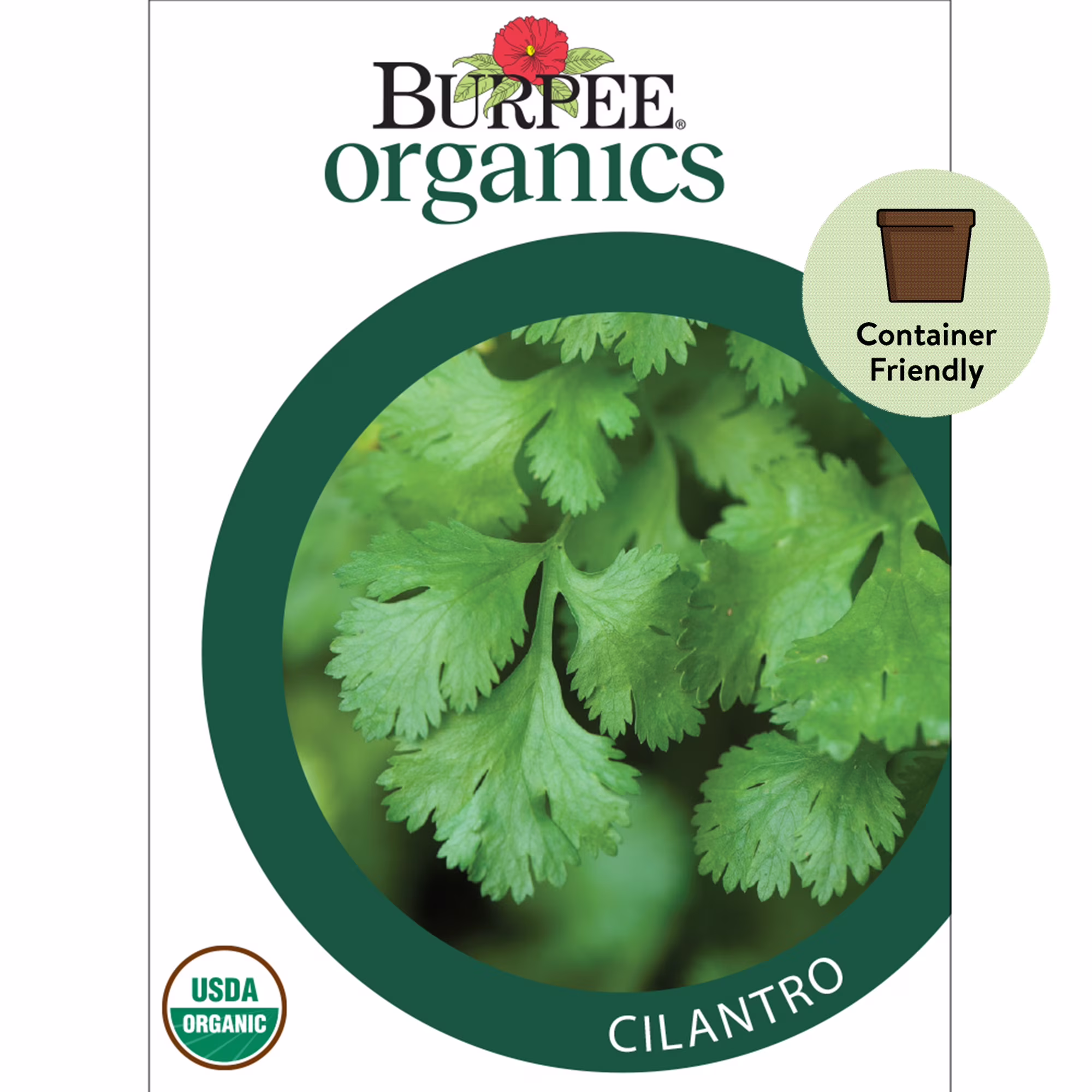 Burpee Organic Common Cilantro Herb Seed, 1-Pack