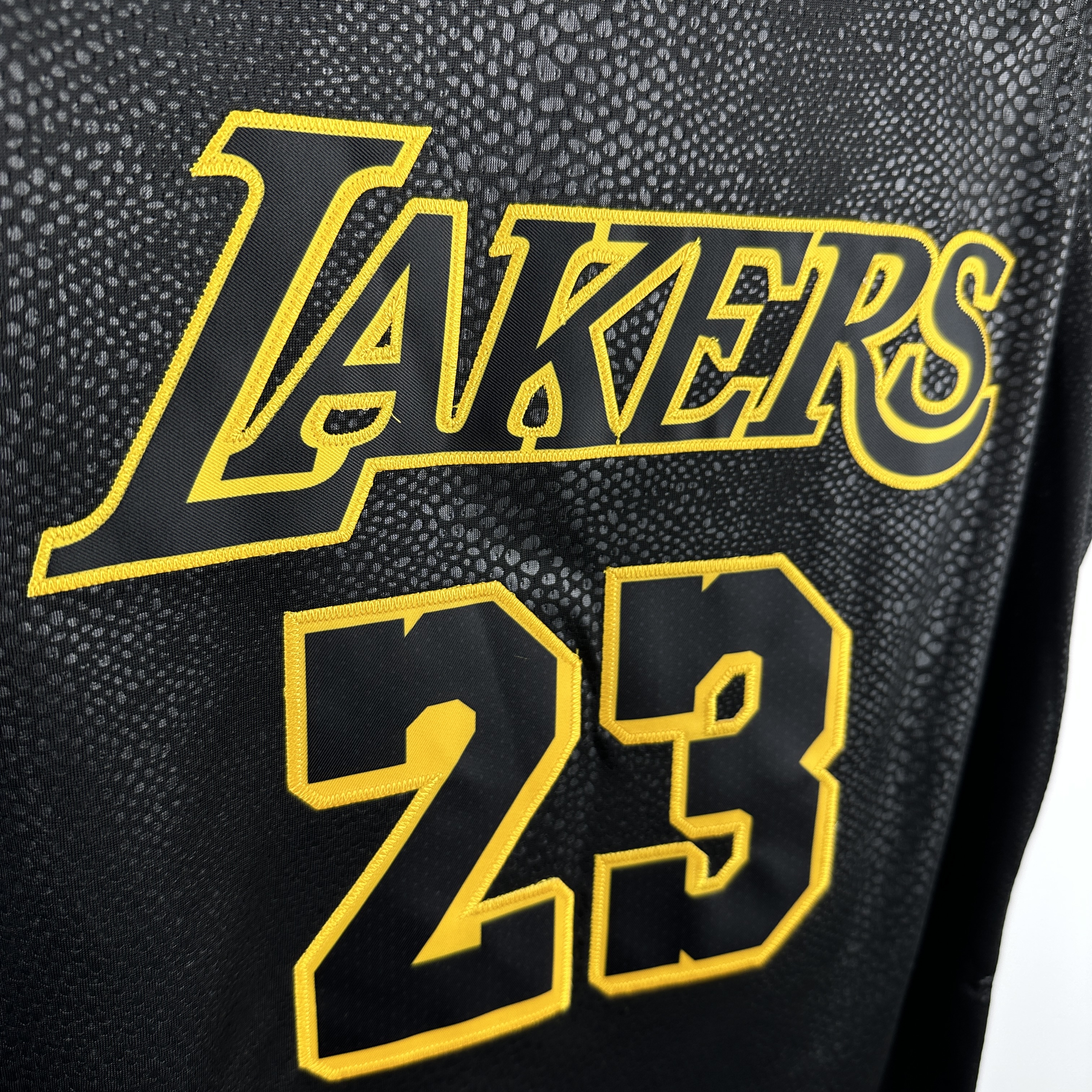 Embroidery Lakers Snake No. 23 James