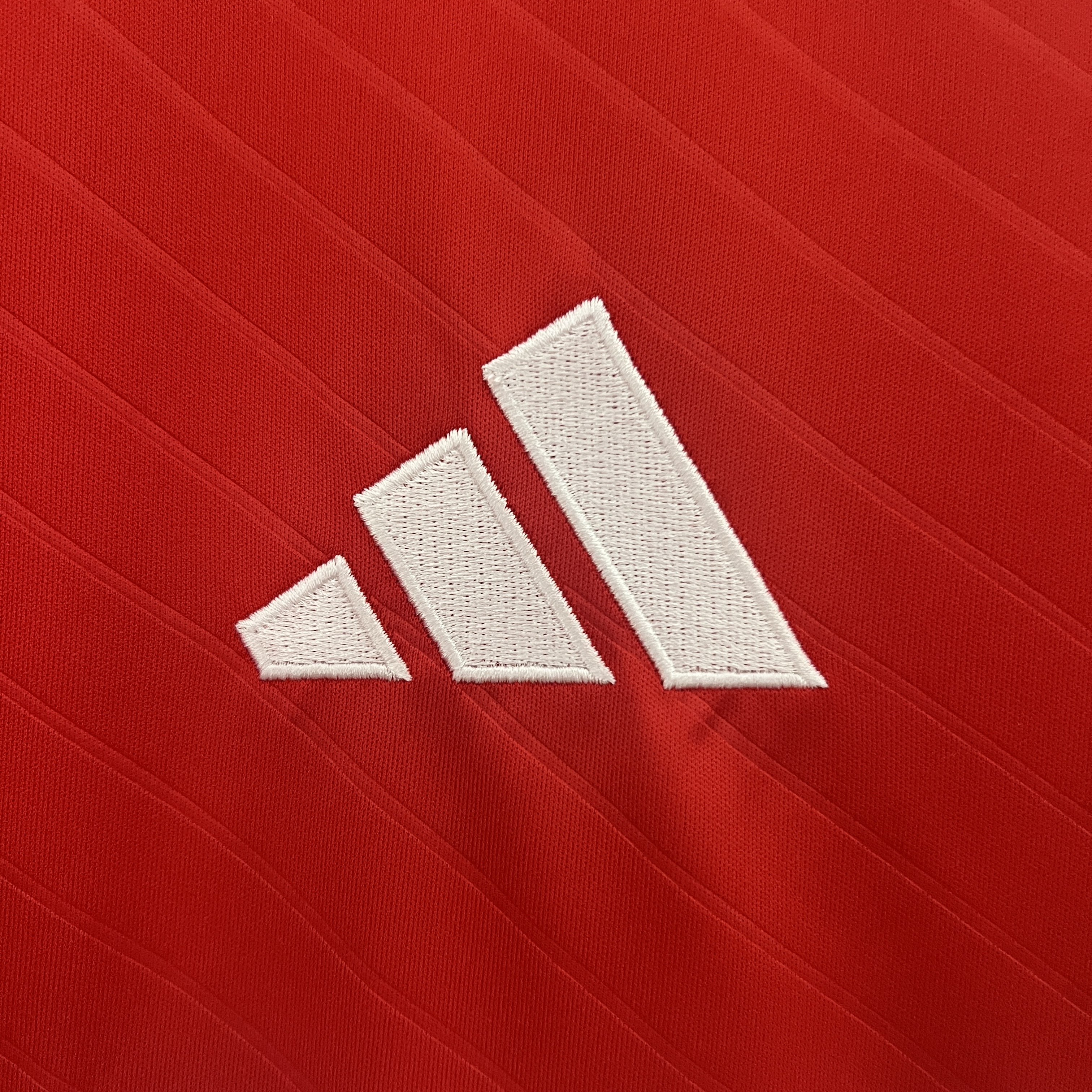2024/25 Benfica Home Red Jersey-Fans Edition