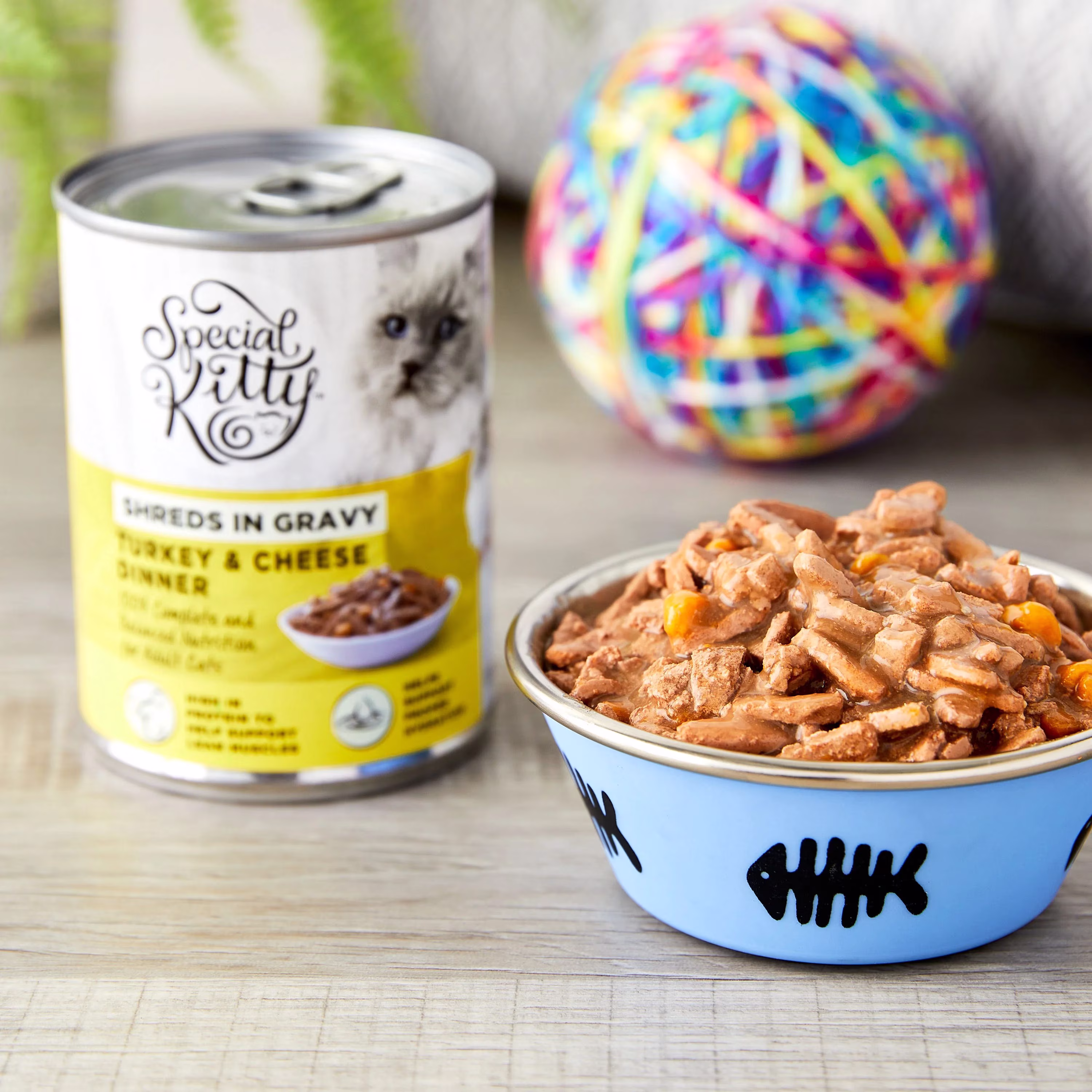 Special Kitty Turkey & Cheese Dinner Shreds in Gravy Wet Cat Food, 13 oz Can