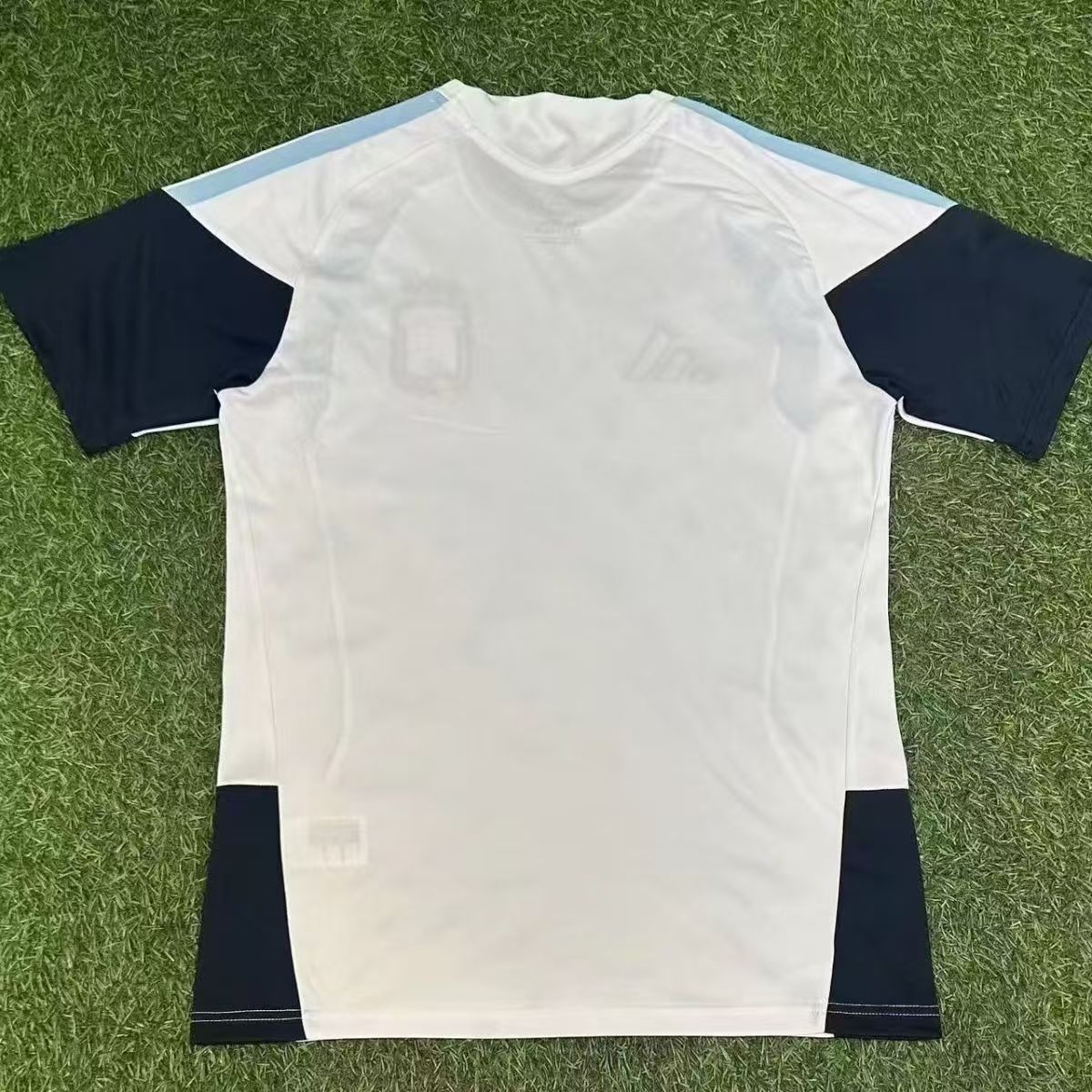 2026 World Cup Argentina Training Jersey - Fans Edition