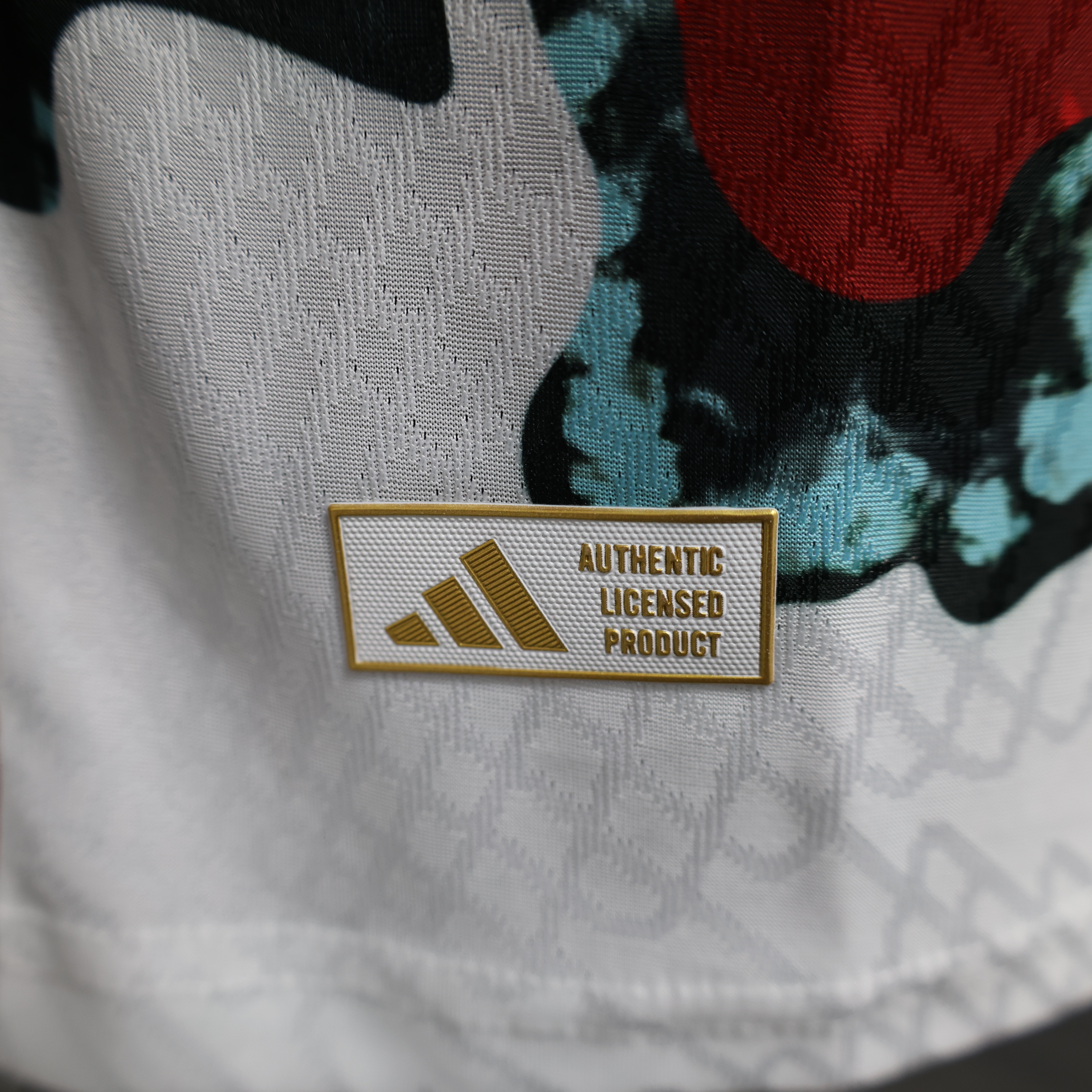 2024-25 Bayern pre-match training special edition - player version