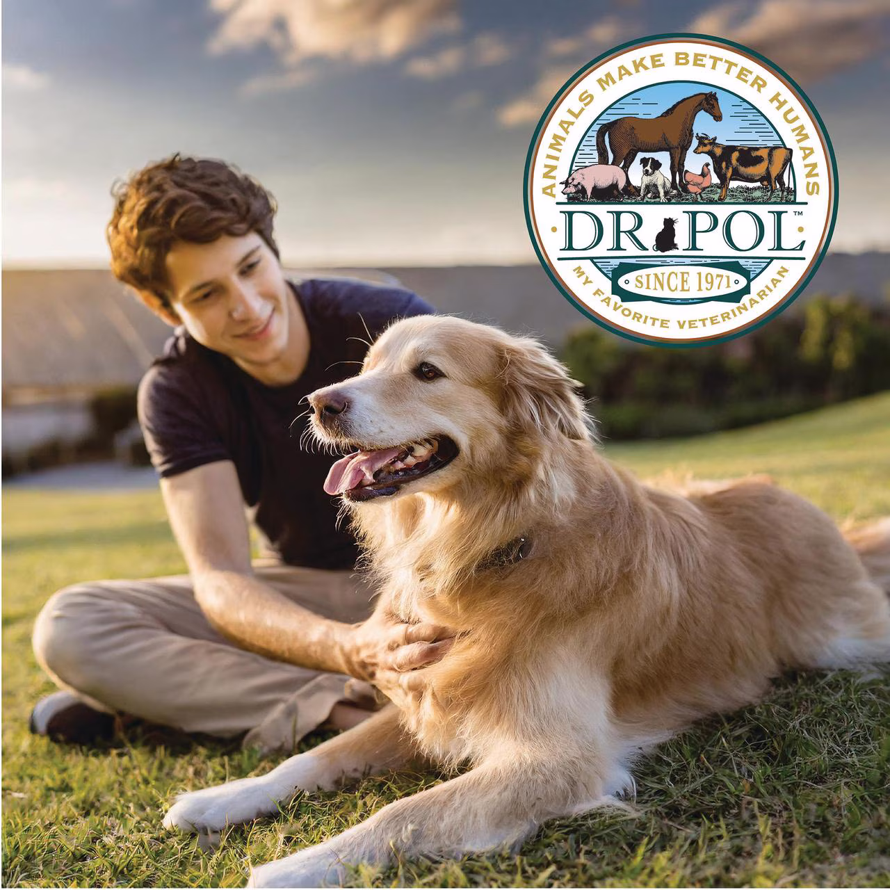 Dr. Pol Limited Ingredient Surf-N-Turf Canned Dog Food, 12.5oz.