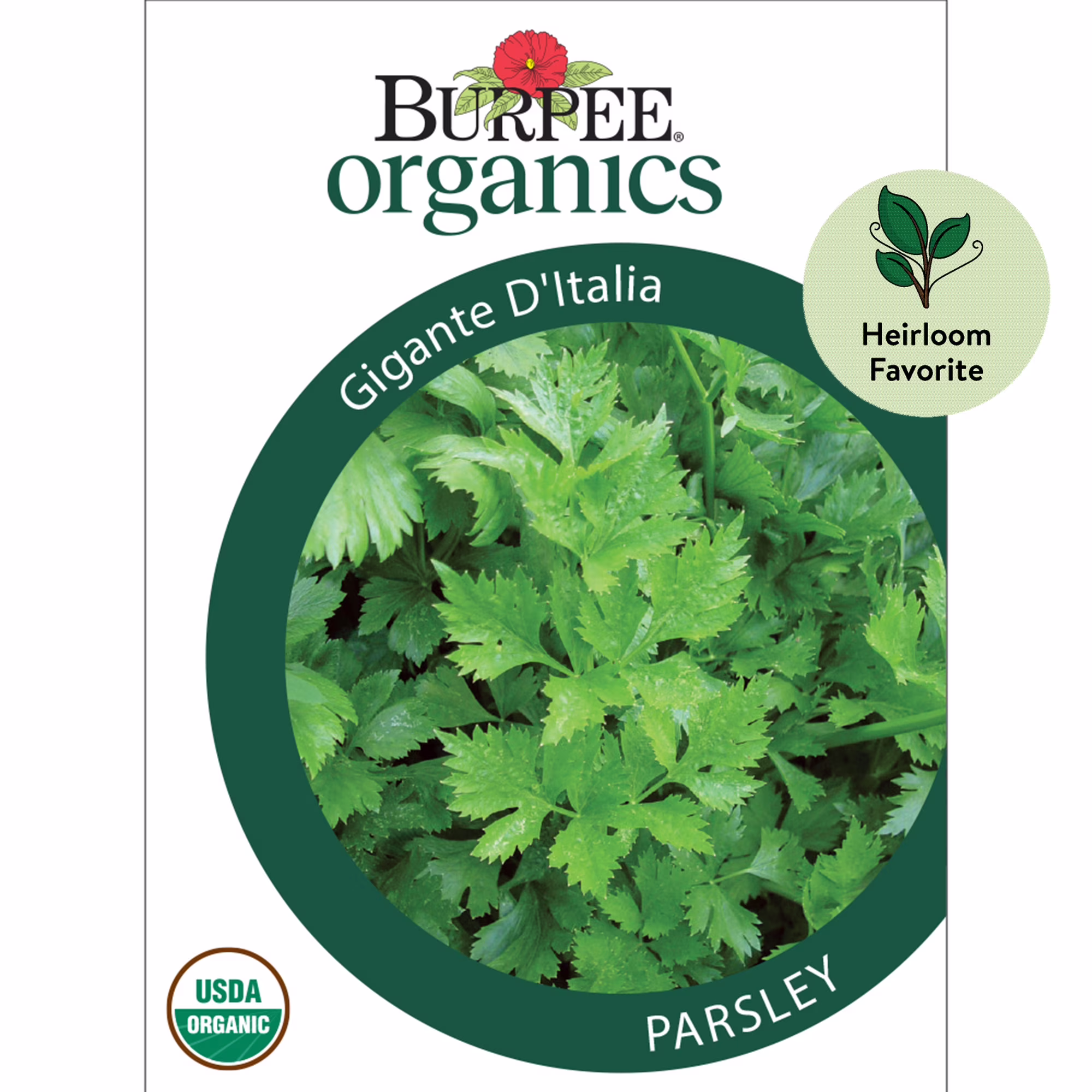 Burpee Organic Gigante D'Italia Parsley Herb Seed, 1-Pack, Full Sun, Annual