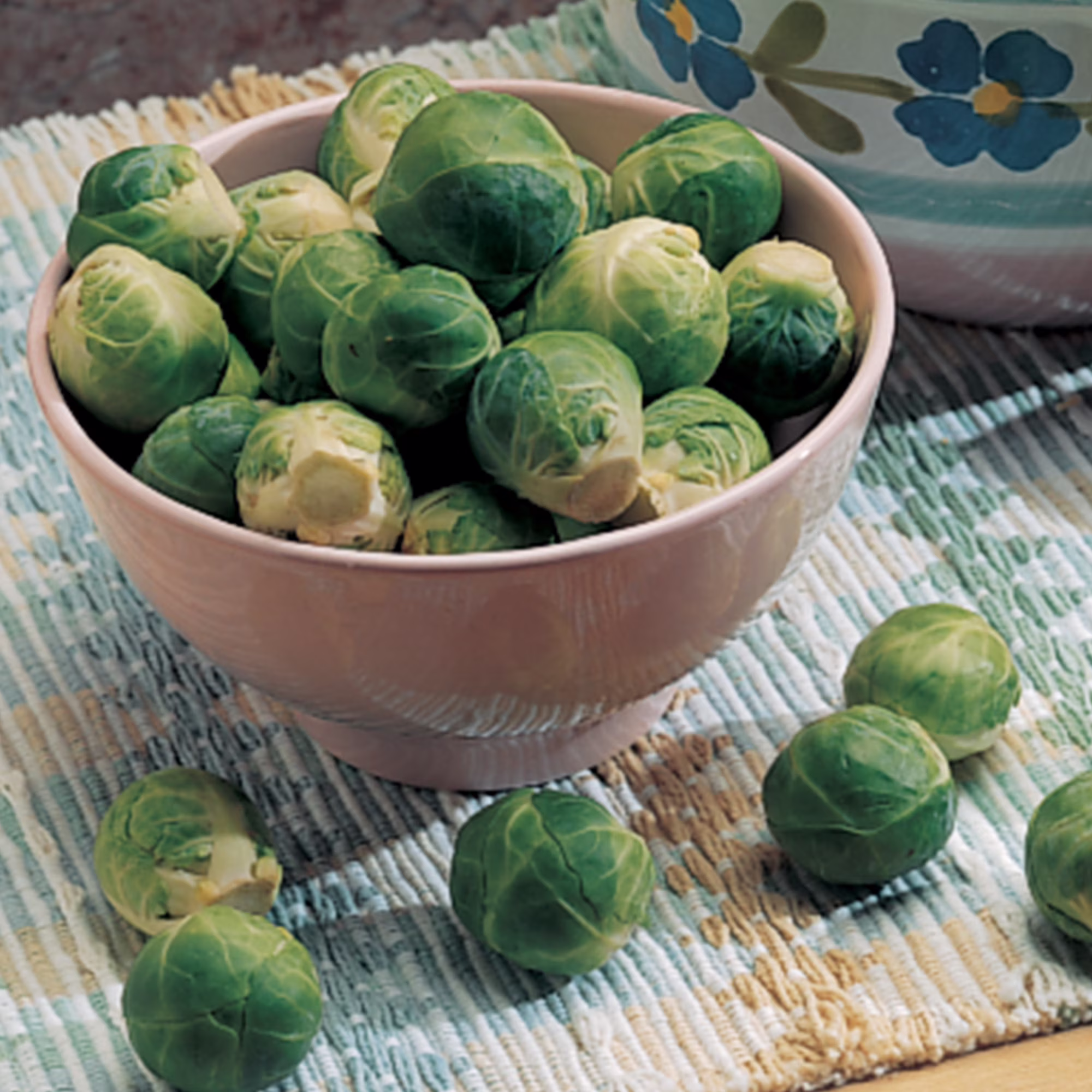 Burpee Catskill Brussels Sprouts Seeds - Heirloom Vegetable Gardening Seeds, 1-Pack