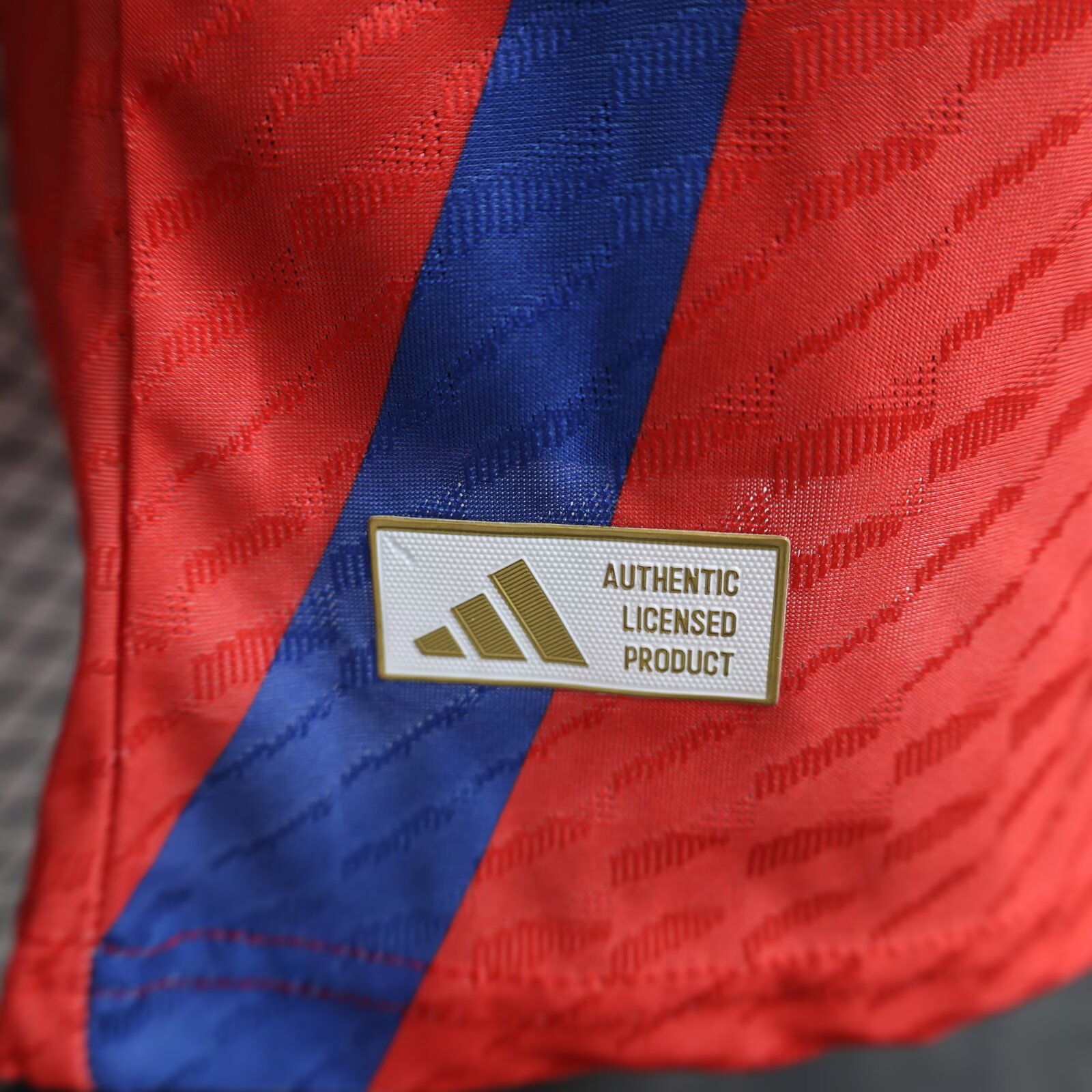 2024/25 Spain Special Edition Shirt - Player Edition