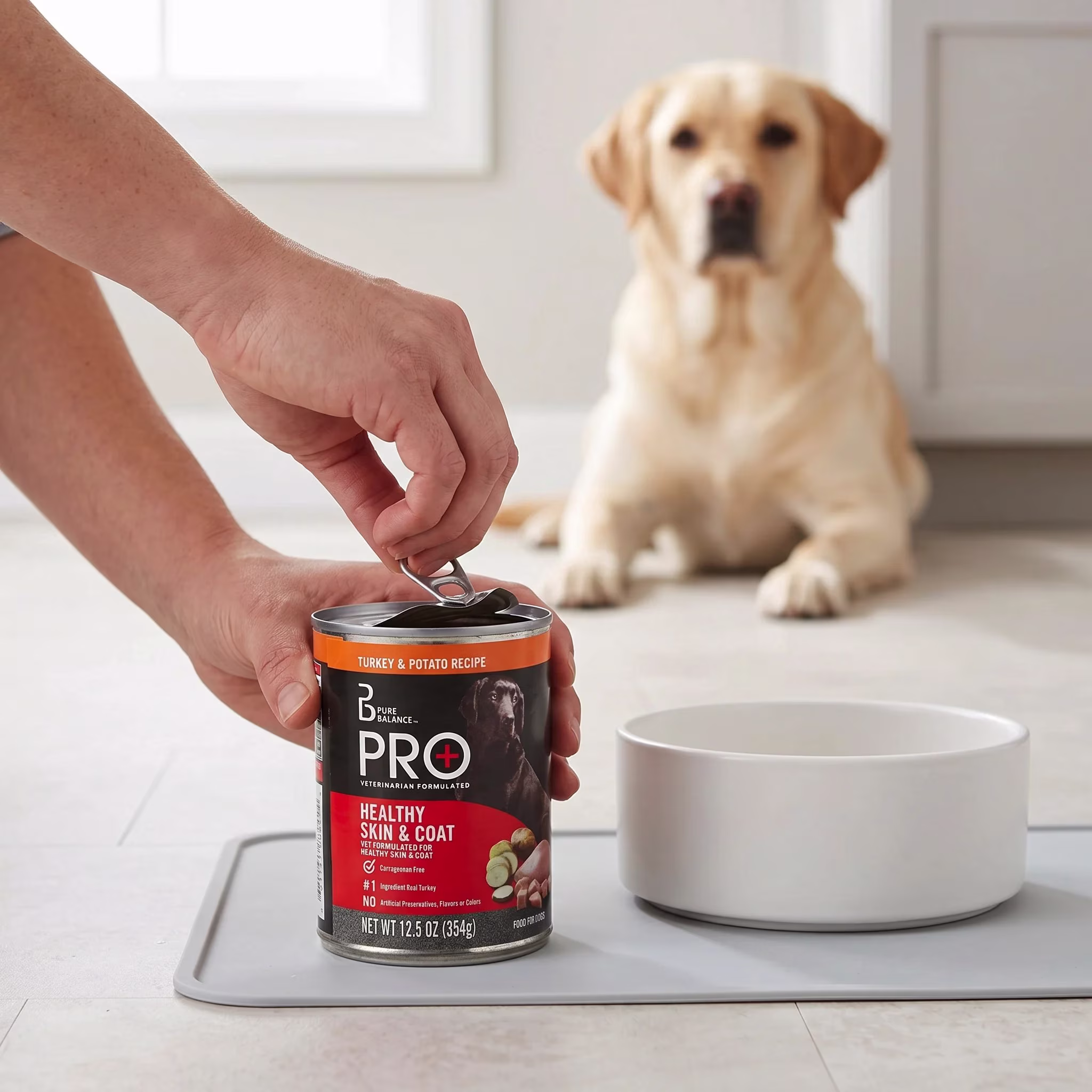 Pure Balance Pro+ Turkey & Potato Recipe Wet Dog Food, 12.5 oz Can