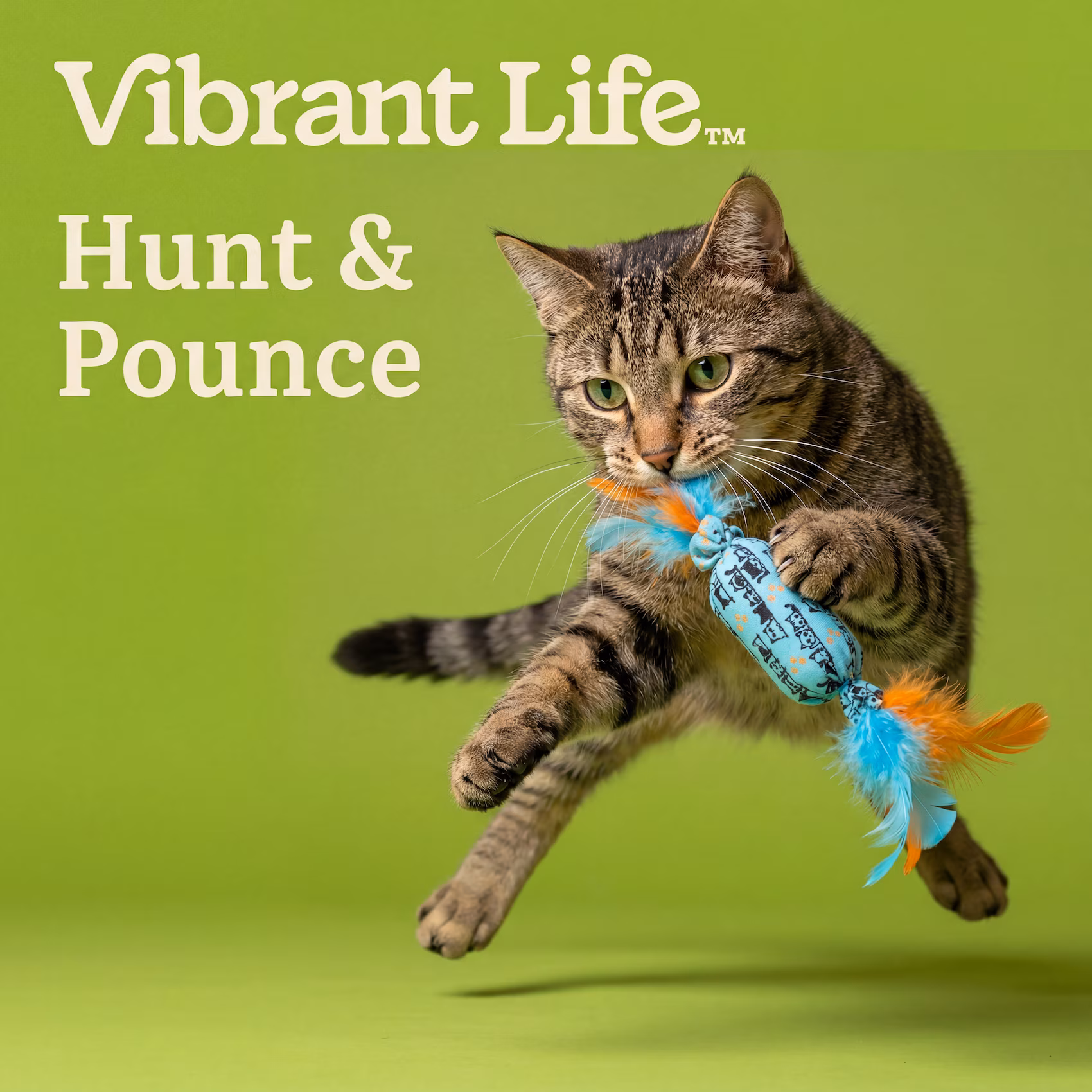 Vibrant Life Blue Candy-Shaped Catnip Cat Toy with Feathers