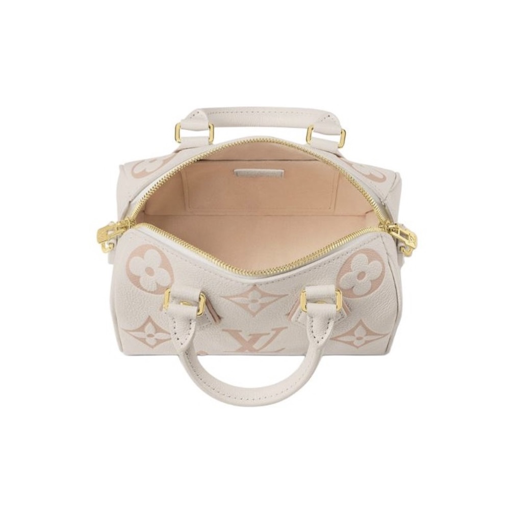 Louis Vuitton Speedy 20