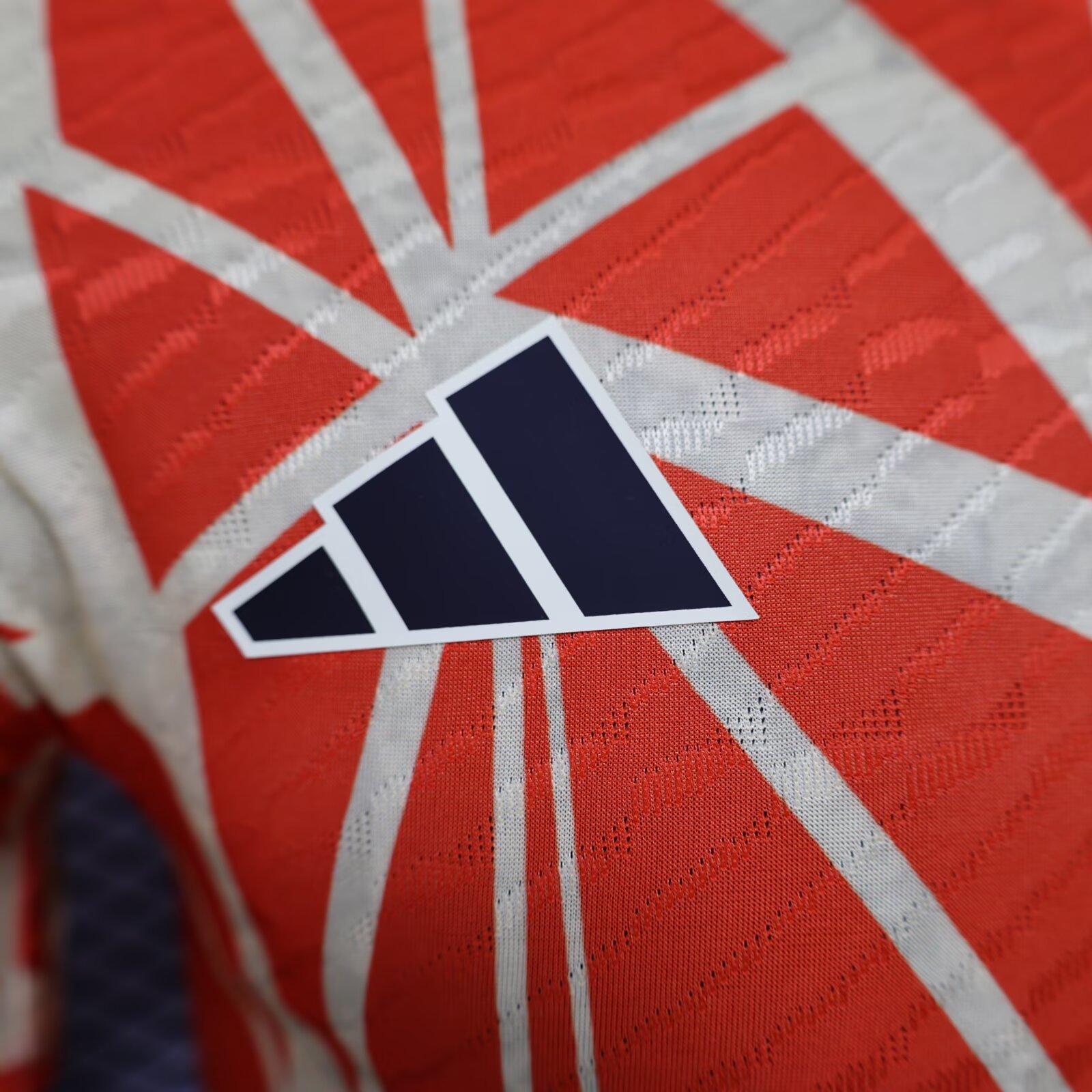 2024/25 FC Bayern Special Edition Shirt - Player Edition