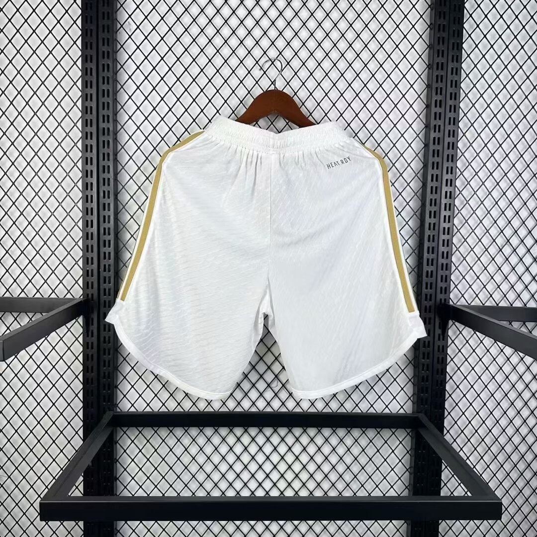 2023/24 Lyon player shorts