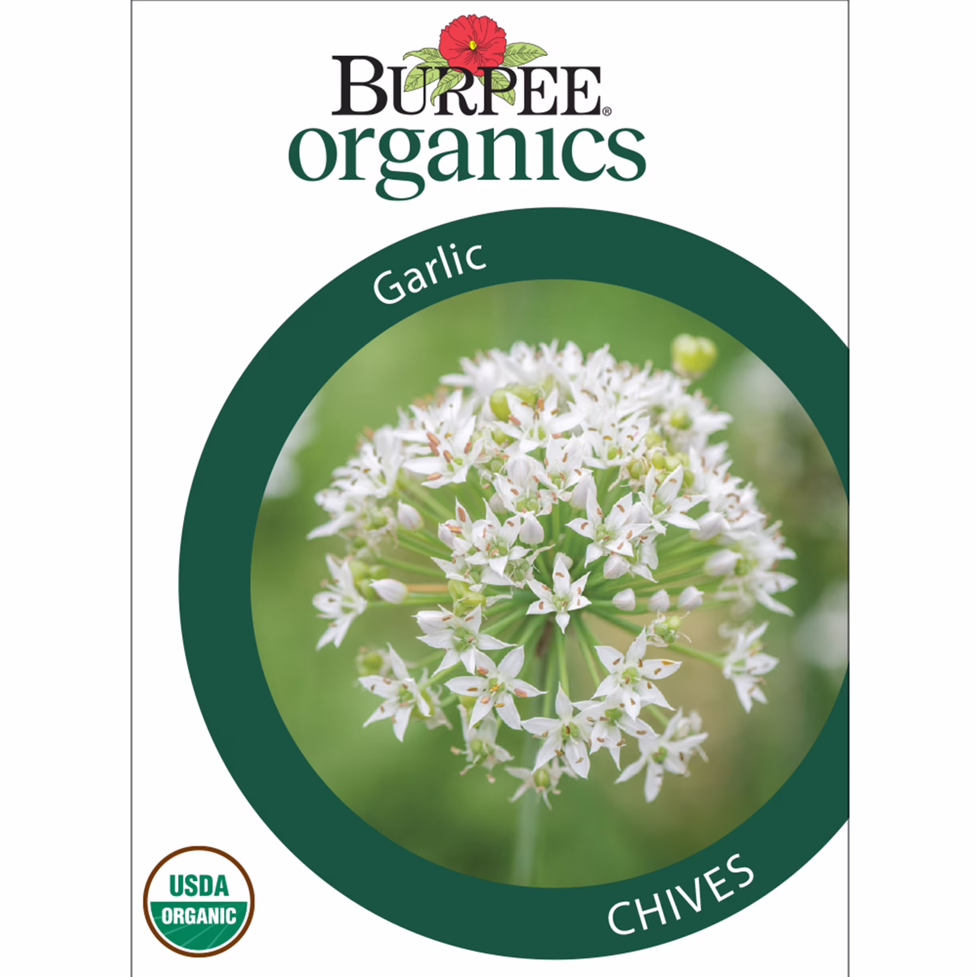 Burpee Organic Garlic Chives Herb Seed, 1-Pack