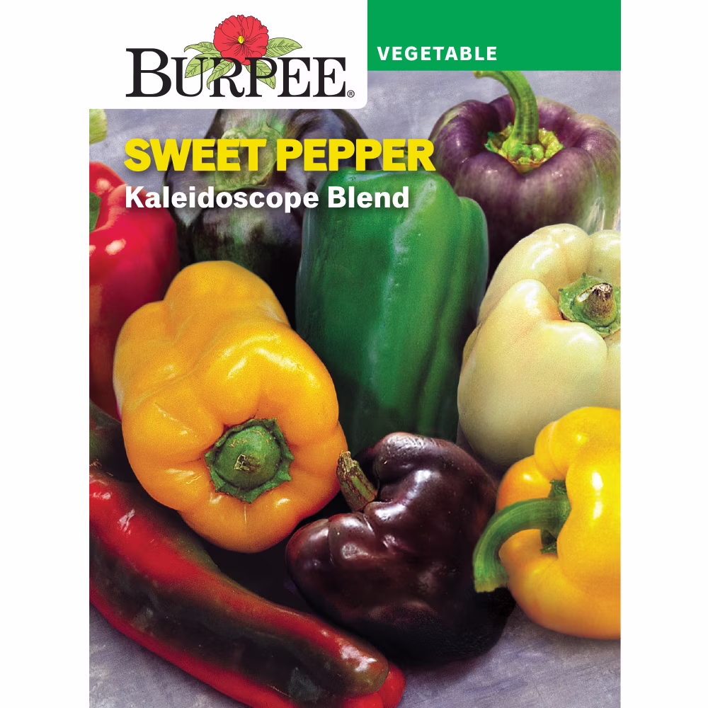 Burpee Kaleidoscope Blend Sweet Pepper Vegetable Seed, 1-Pack