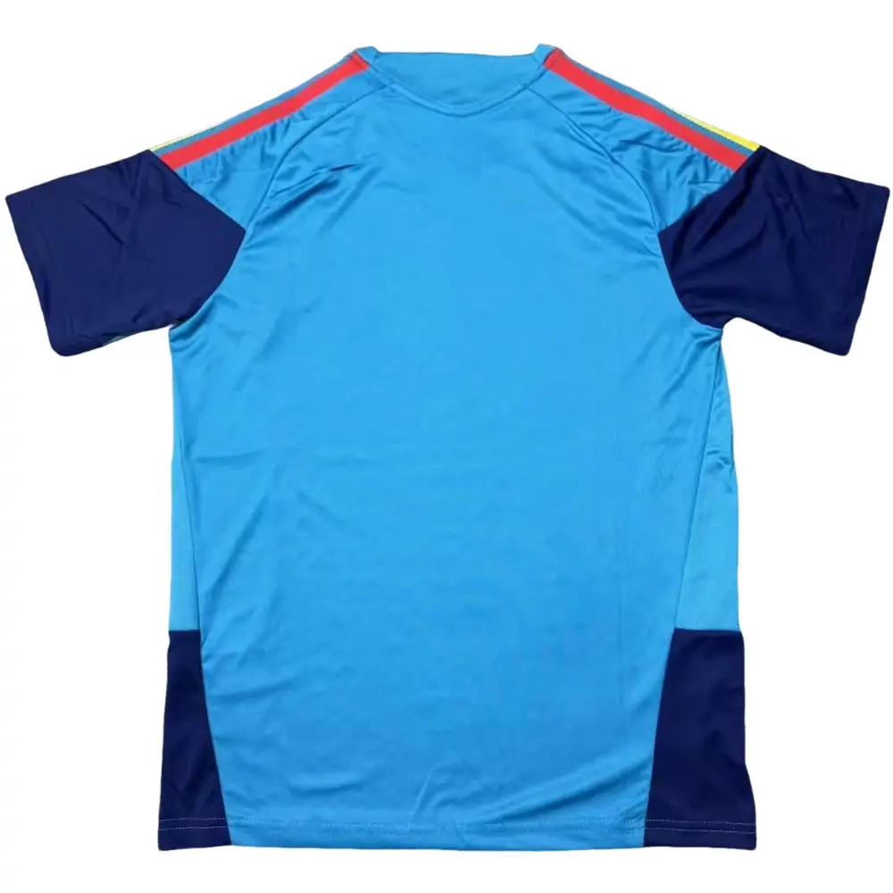 2026 World Cup Spain Training Jersey - Fans Edition