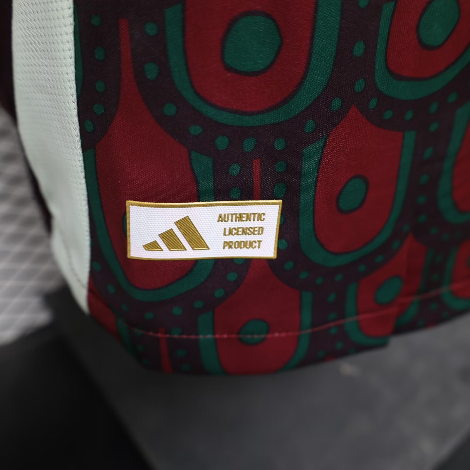 2024/25 Mexico Home Long Sleeve Player Edition Shirt