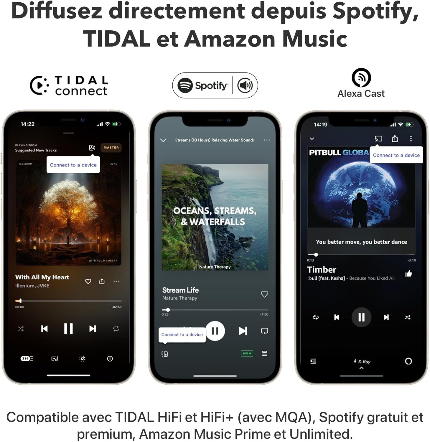 Récepteur audio WiFi AirPlay 2 Cast multiroom haute résolution