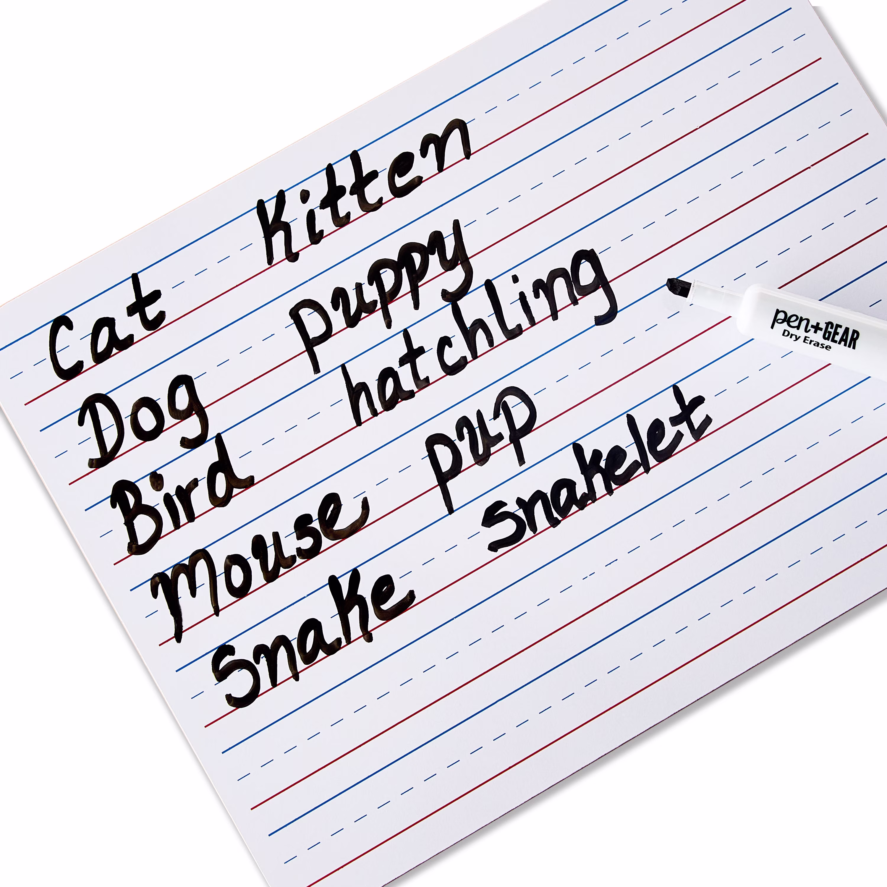 Pen+Gear Dry Erase Learning Board Whiteboard, 8.9 in x 11.8 in