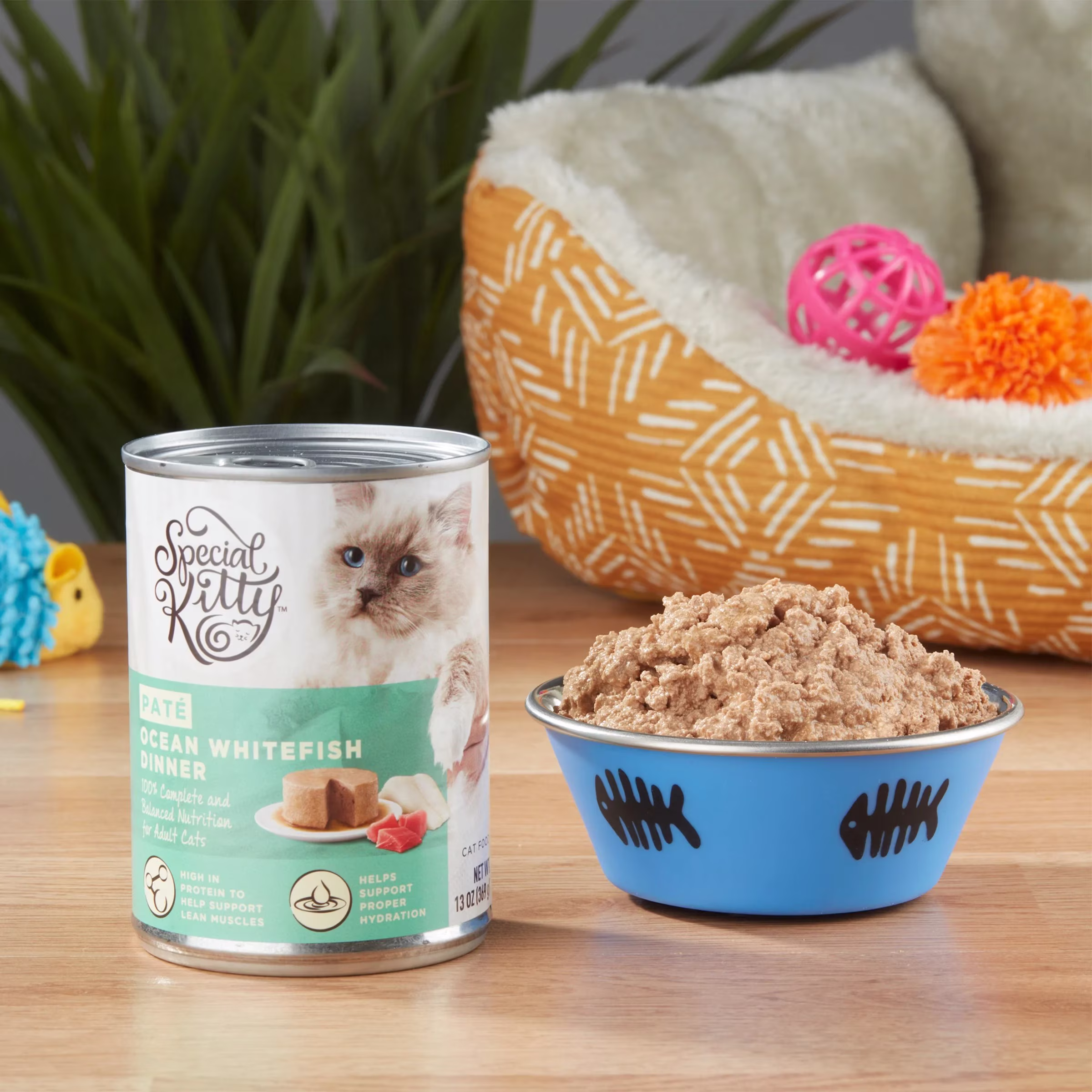 Special Kitty Ocean Whitefish Dinner Pate Wet Cat Food, 13 oz Can