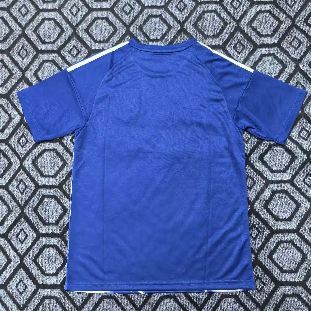 25-26 Japan Super Vegeta Blue Jersey - Fan Edition